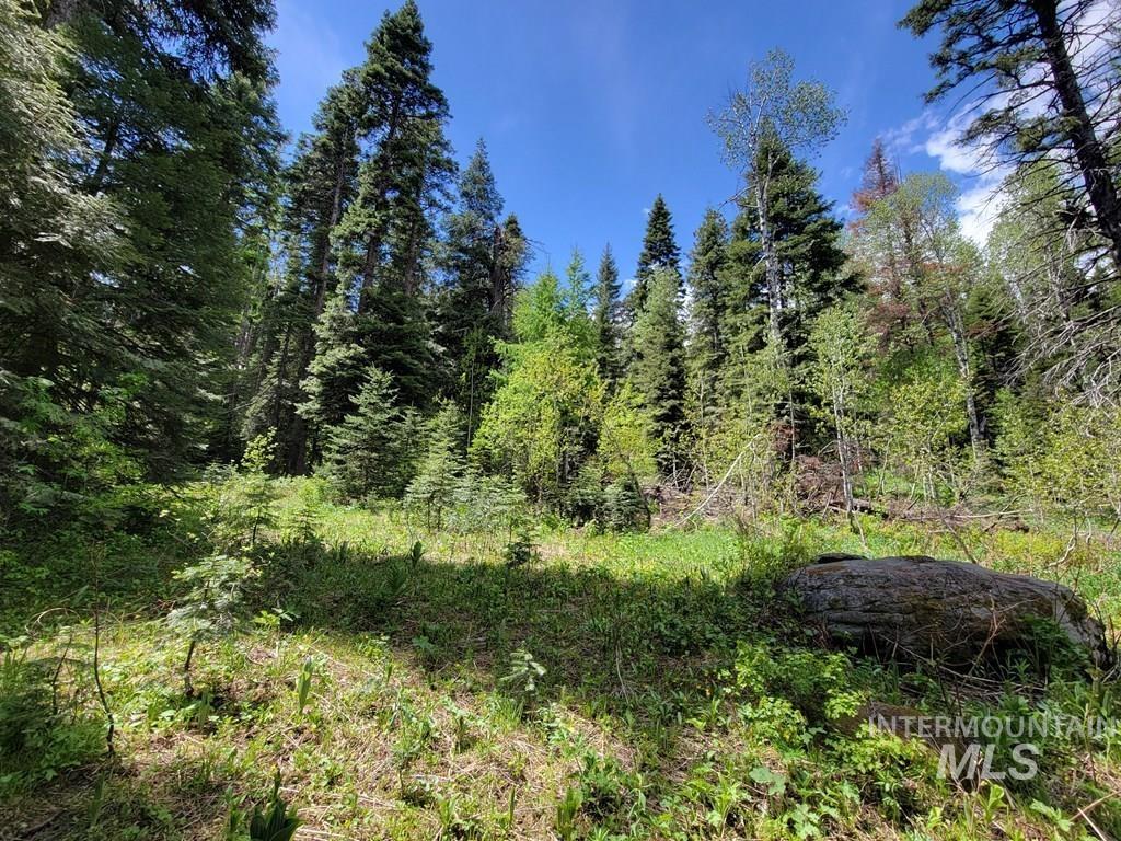 32 Arling Trail Property Photo 6
