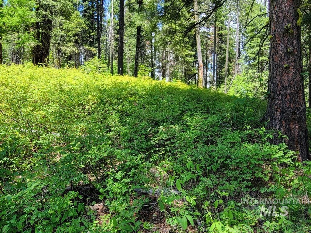 32 Arling Trail Property Photo 9