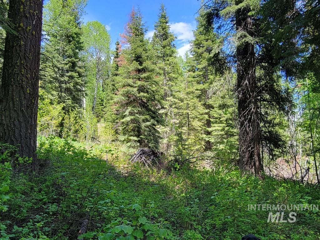 32 Arling Trail Property Photo 10