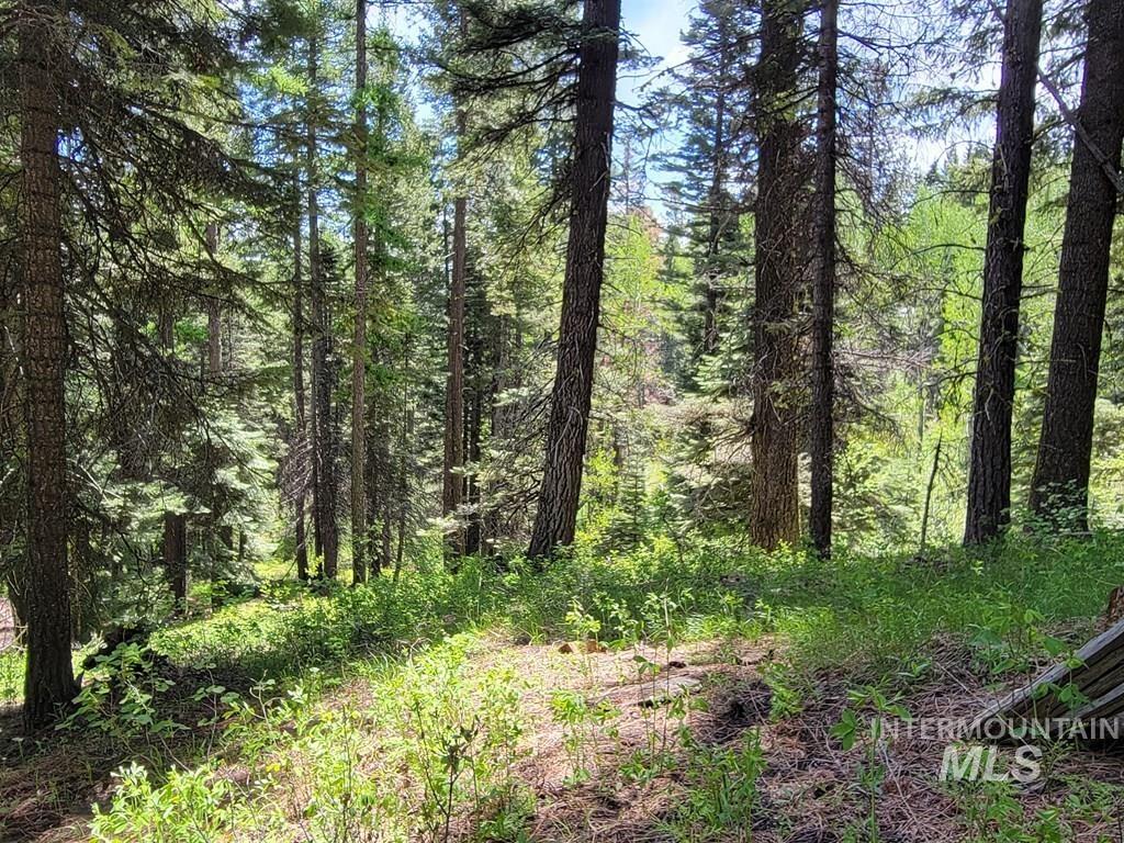 32 Arling Trail Property Photo 11