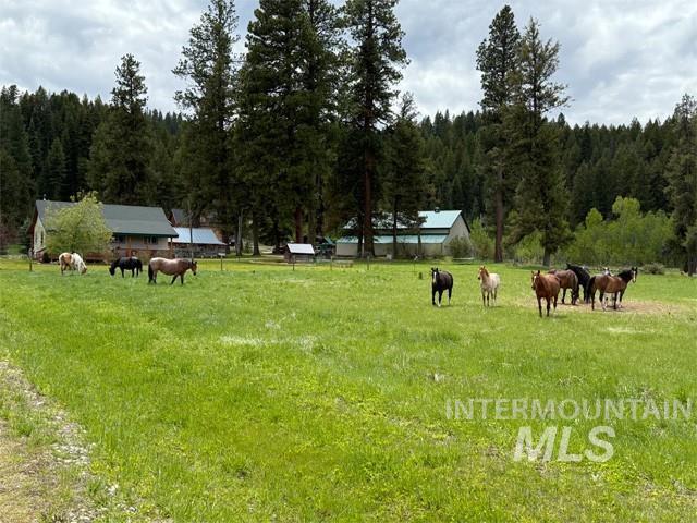 31/33 Bacon Creek Rd Property Photo 2