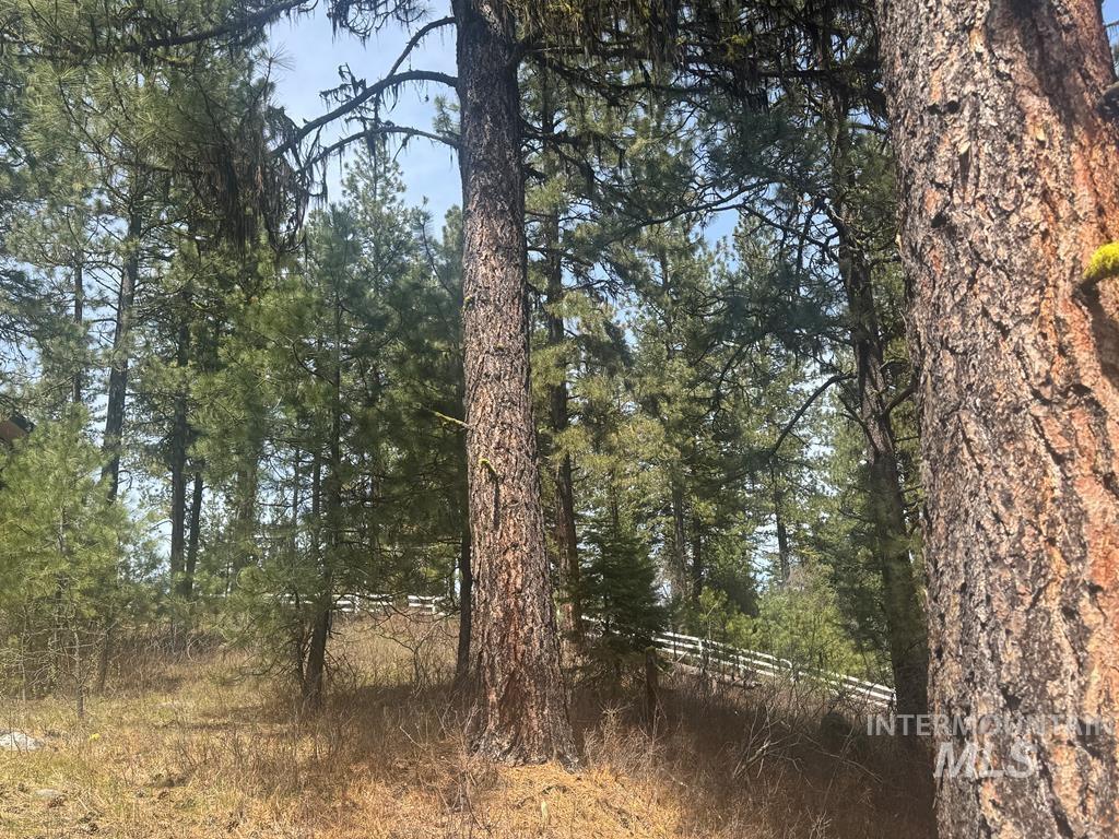 474 Timbercrest Loop Property Photo 3