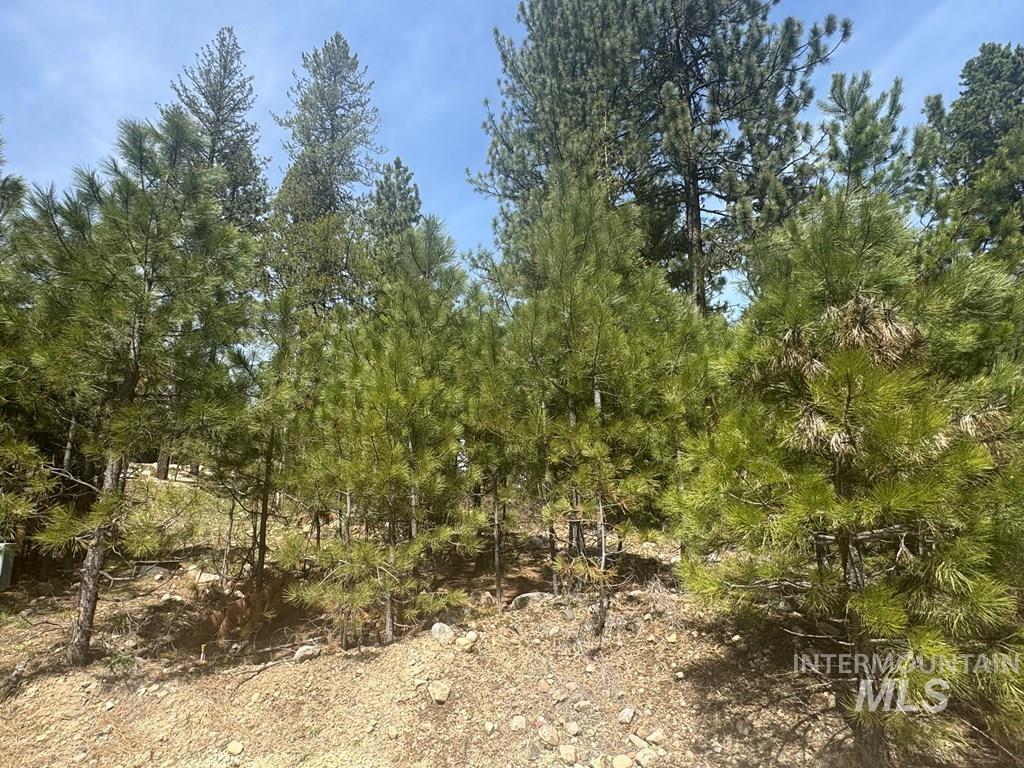 474 Timbercrest Loop Property Photo 4