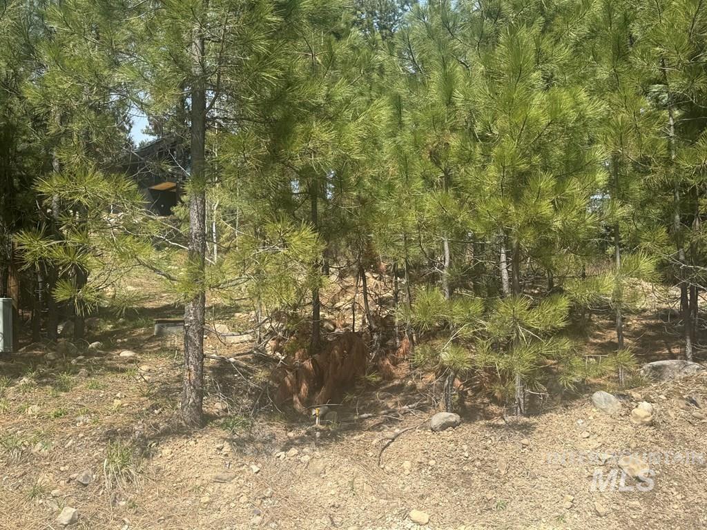 474 Timbercrest Loop Property Photo 5