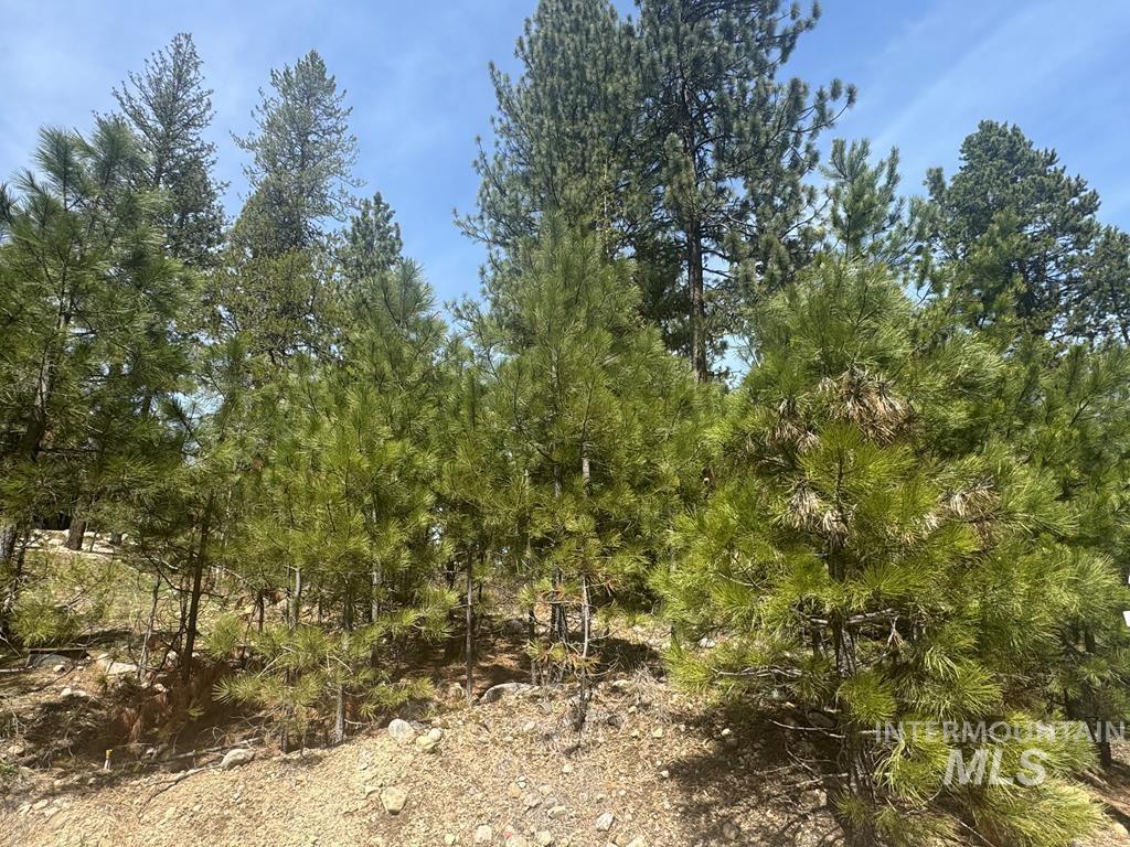 474 Timbercrest Loop Property Photo 7