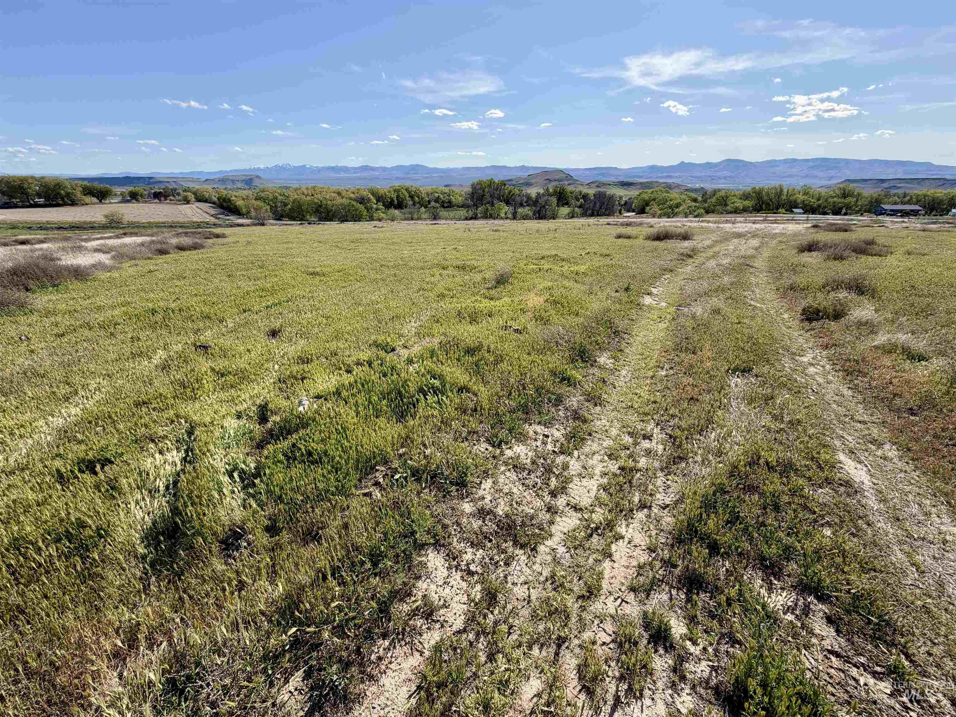 Tbd Southside Blvd Property Photo 4