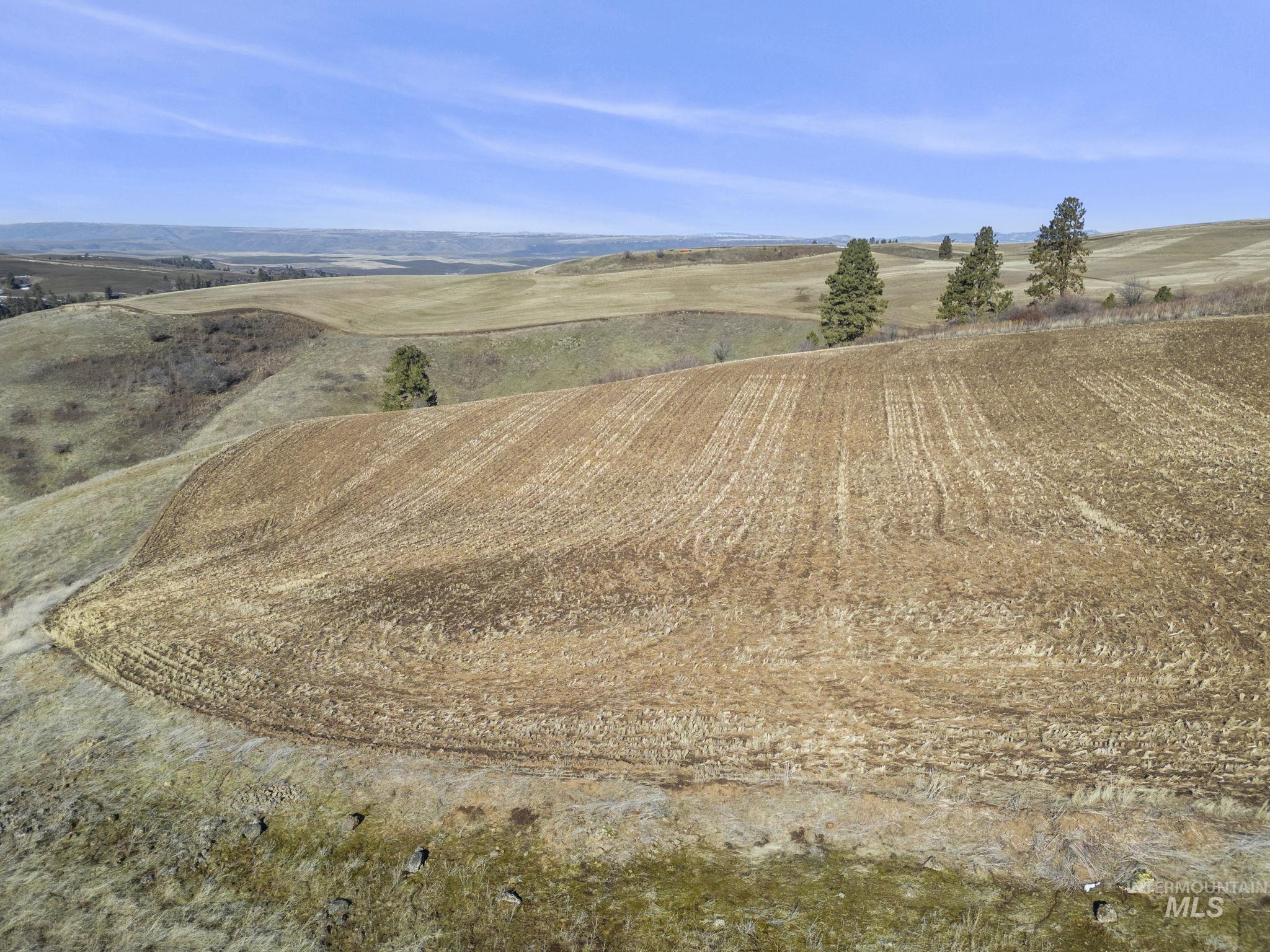 Tbd Old Culdesac Road Property Photo 8