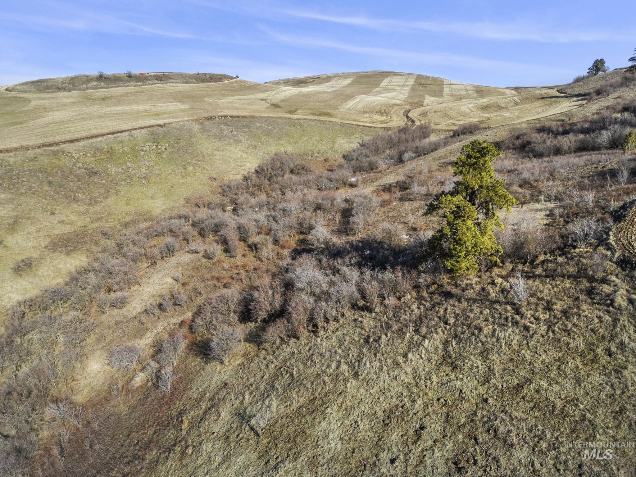 Tbd Old Culdesac Road Property Photo 15
