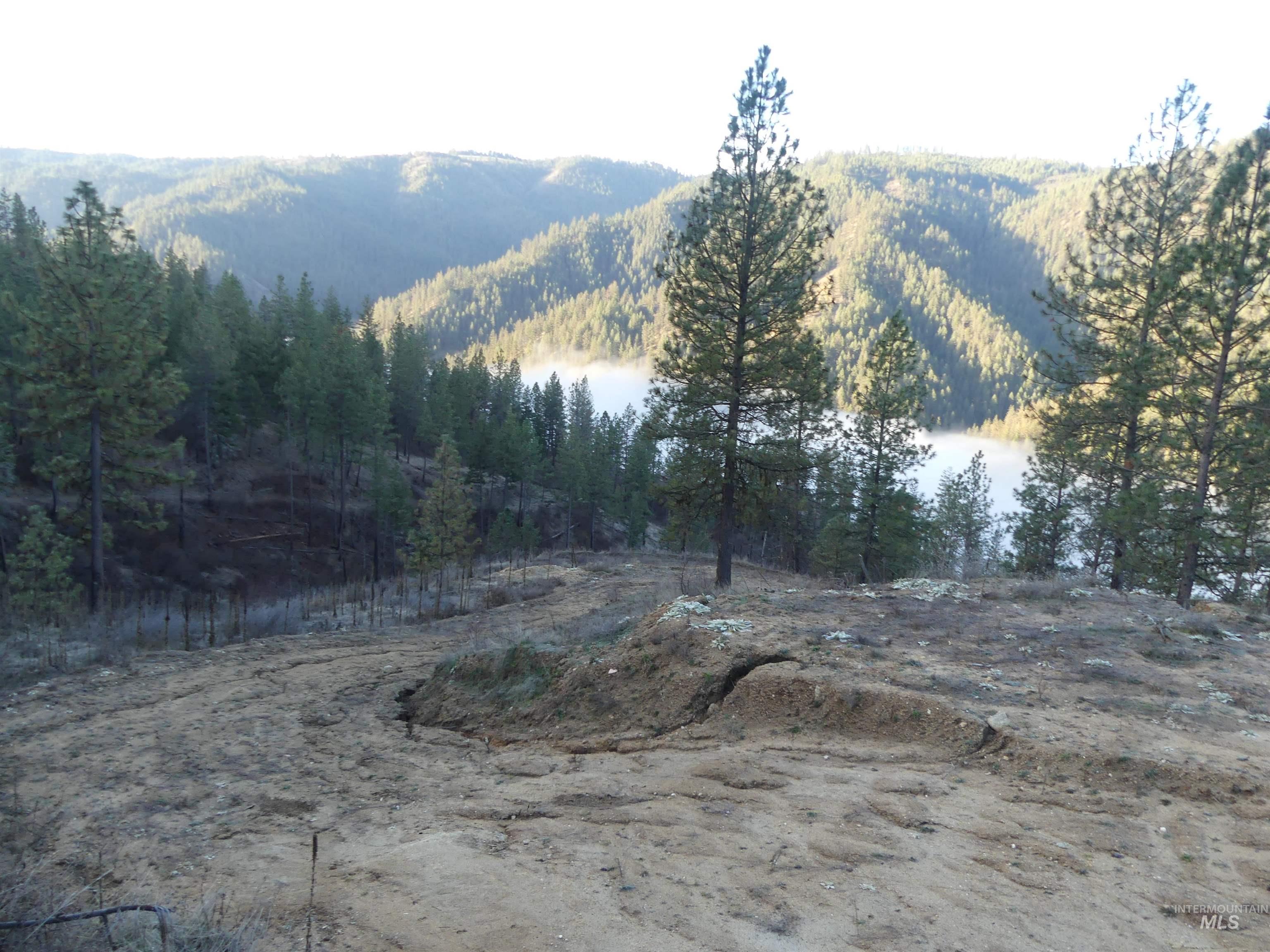 1404 Carrot Ridge Road Property Photo 14
