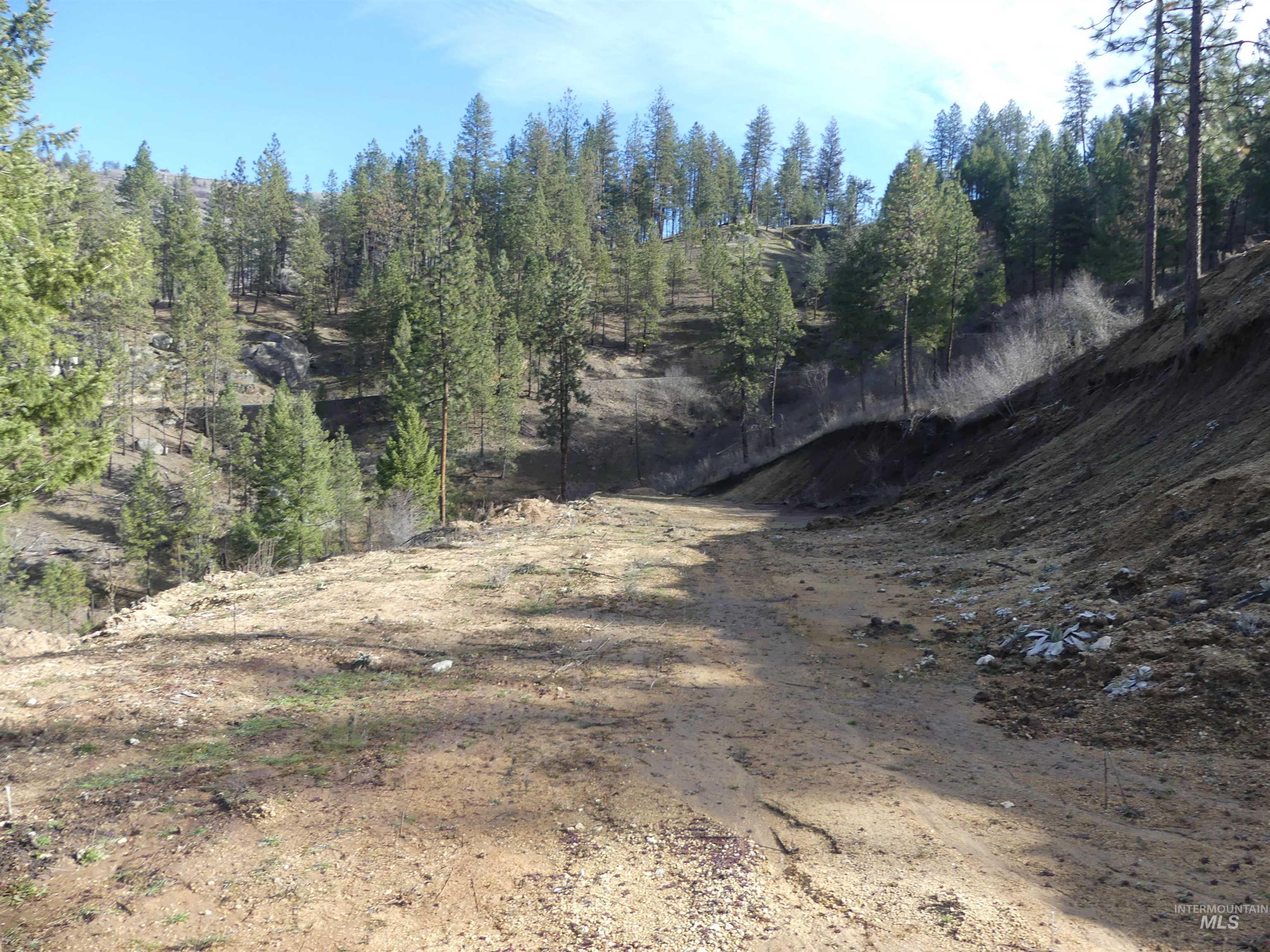 1404 Carrot Ridge Road Property Photo 27