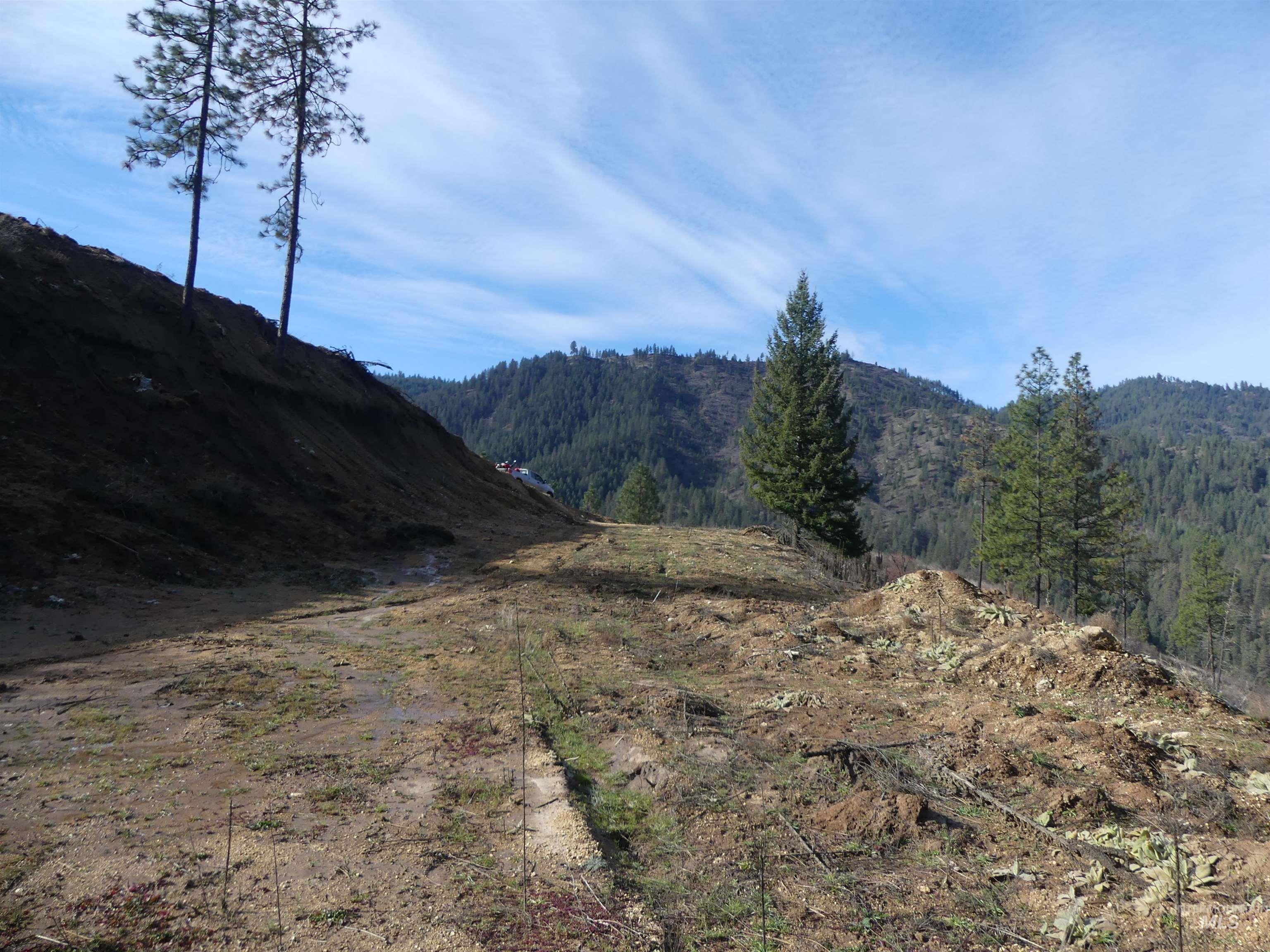 1404 Carrot Ridge Road Property Photo 31