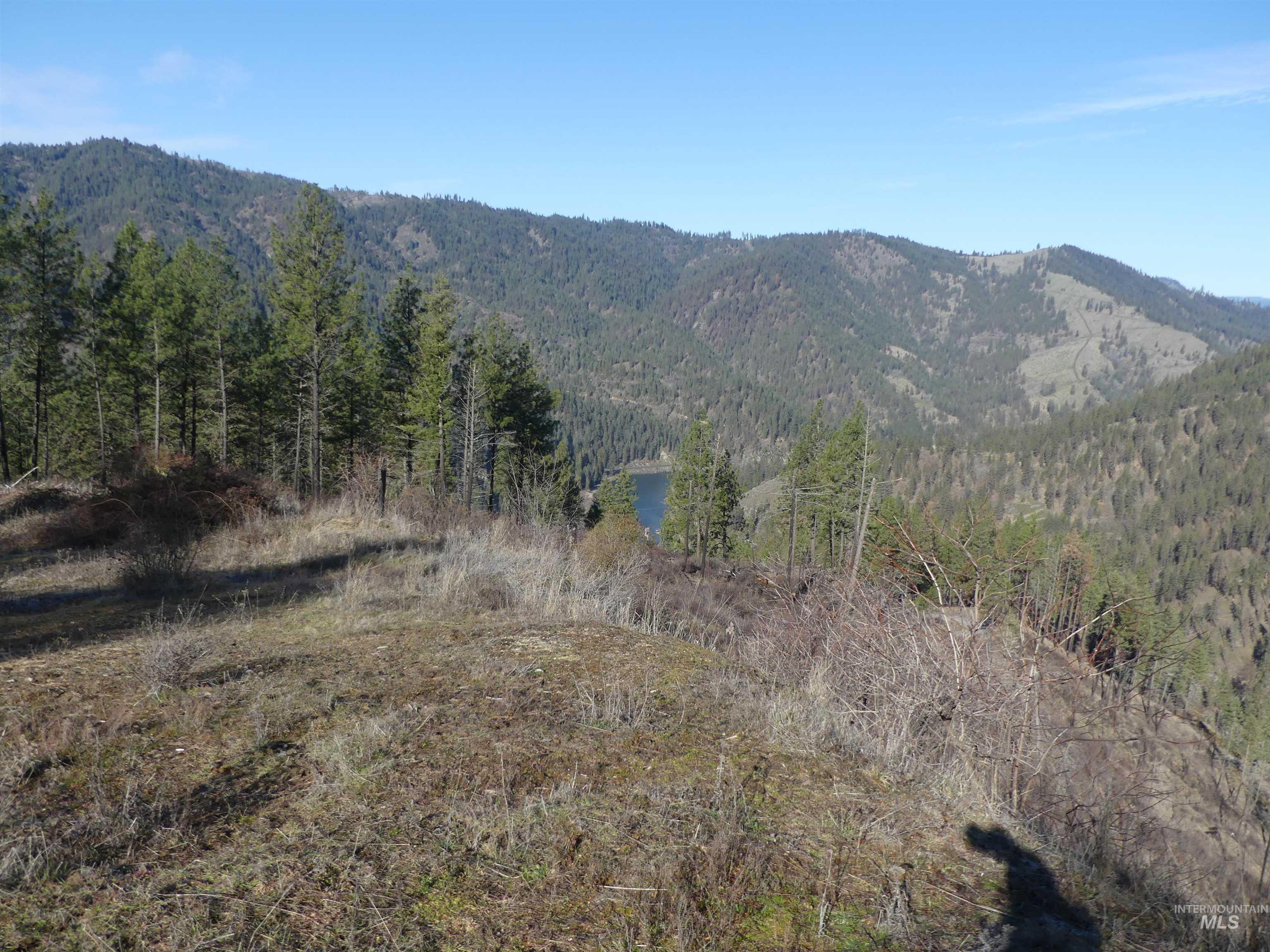 1404 Carrot Ridge Road Property Photo 33