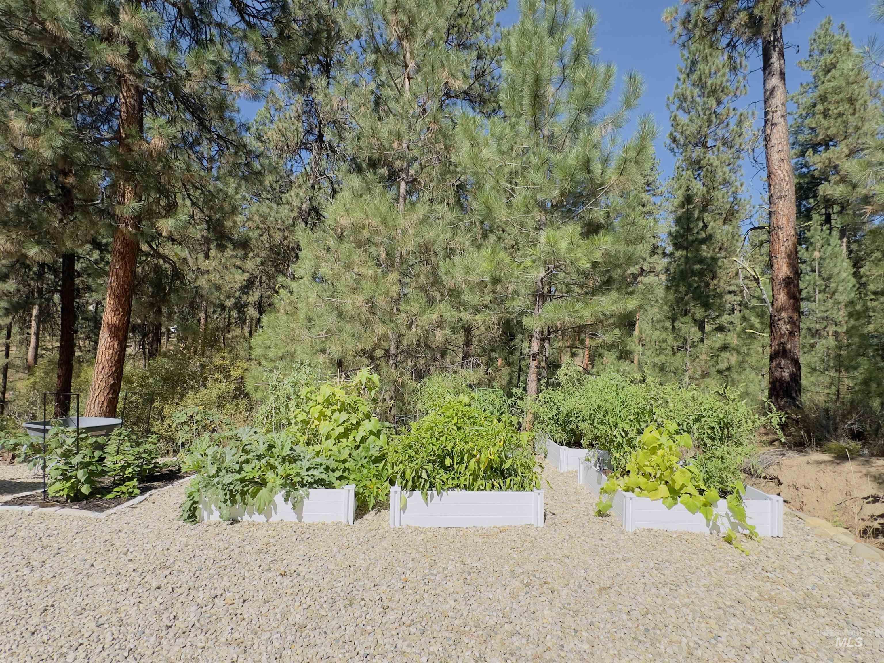 16 Grouse Road Property Photo 21