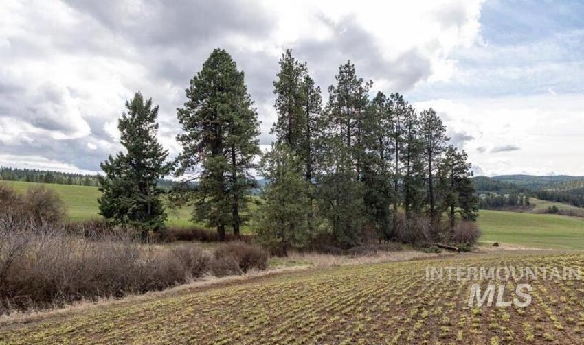 Nka Clifford Rd Property Photo 2