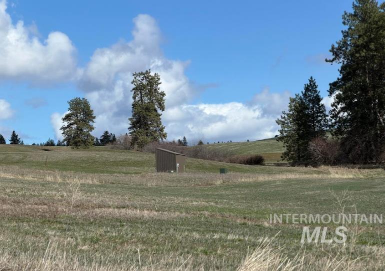Nka Clifford Rd Property Photo 6
