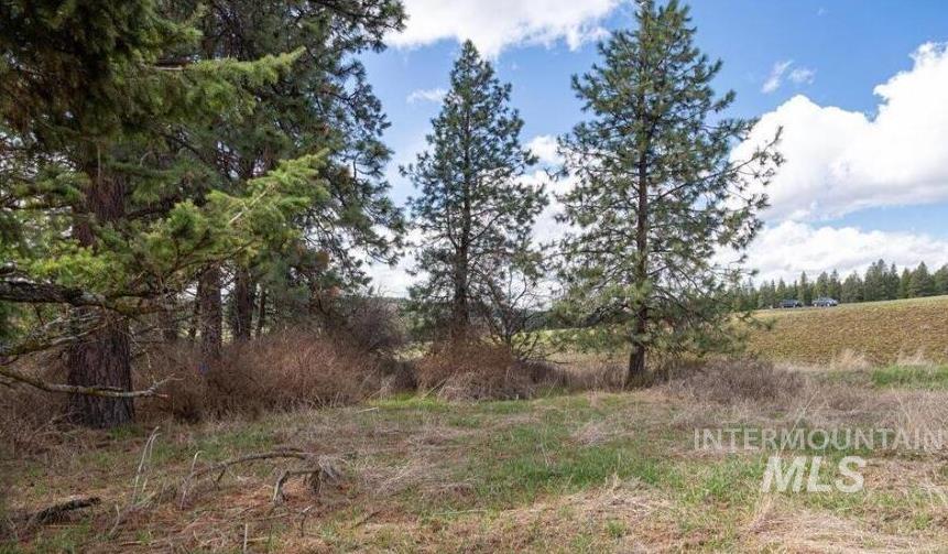 Nka Clifford Rd Property Photo 8