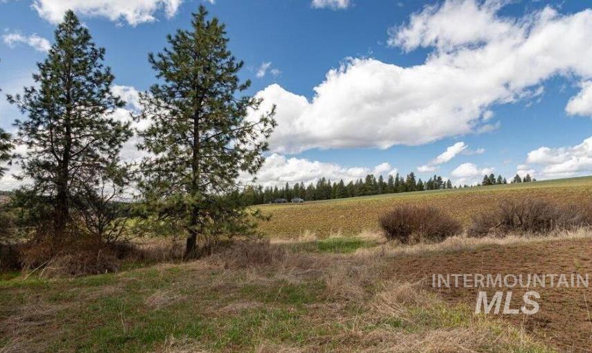 Nka Clifford Rd Property Photo 9