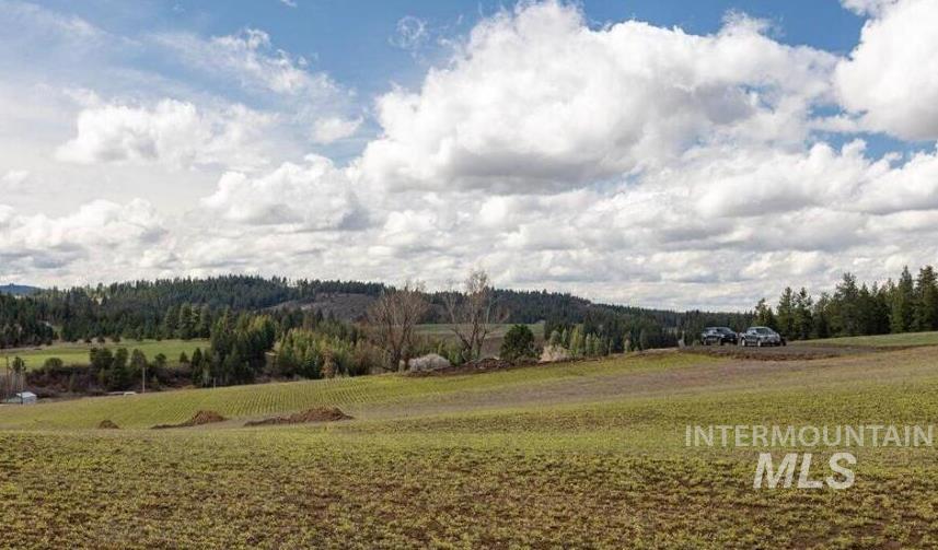 Nka Clifford Rd Property Photo 10