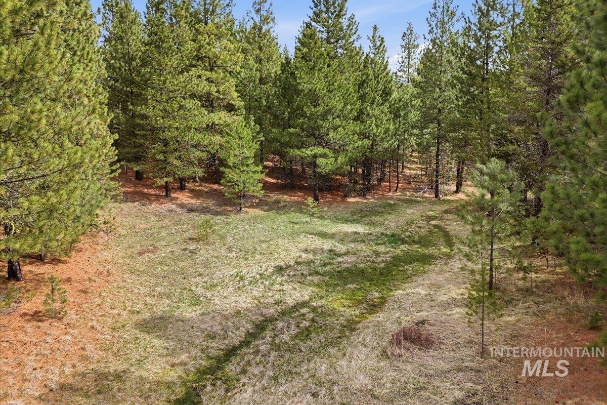 7 Carol Ct Property Photo 24