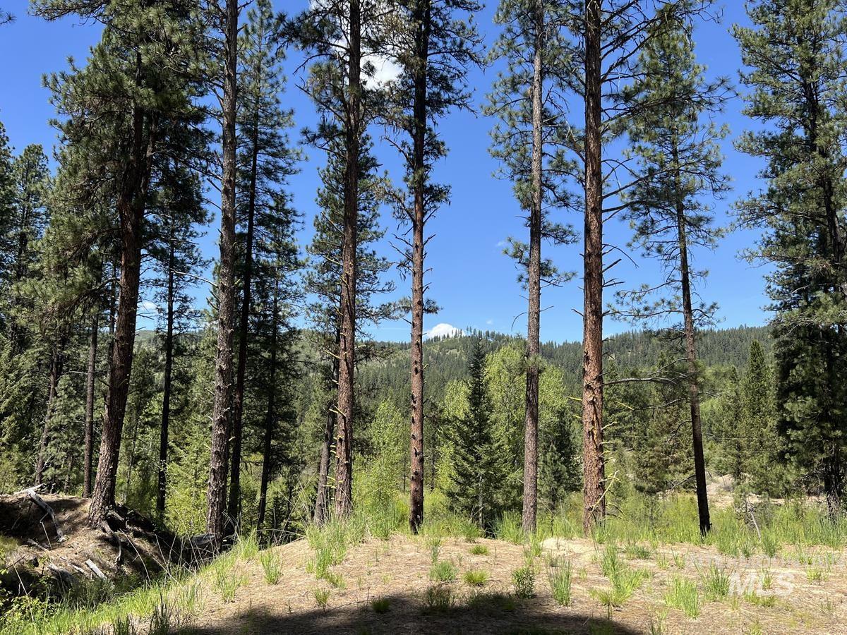 L16 B1 Shaw Gulch Road Property Photo 2