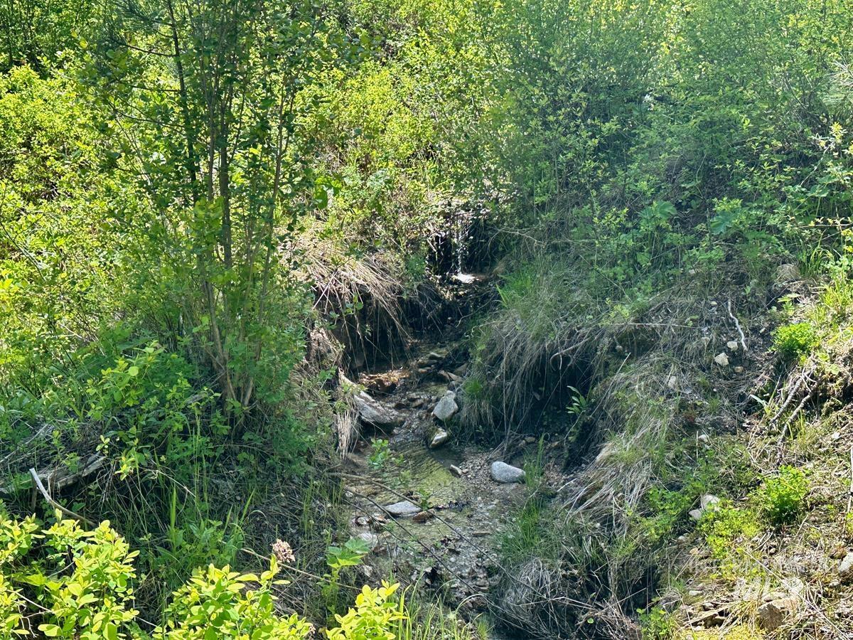 L16 B1 Shaw Gulch Road Property Photo 3