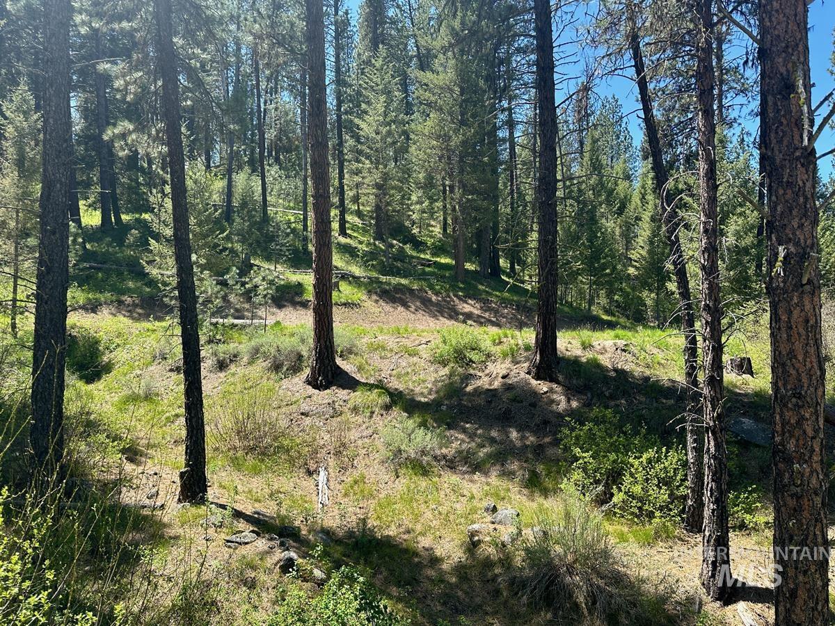 L16 B1 Shaw Gulch Road Property Photo 4
