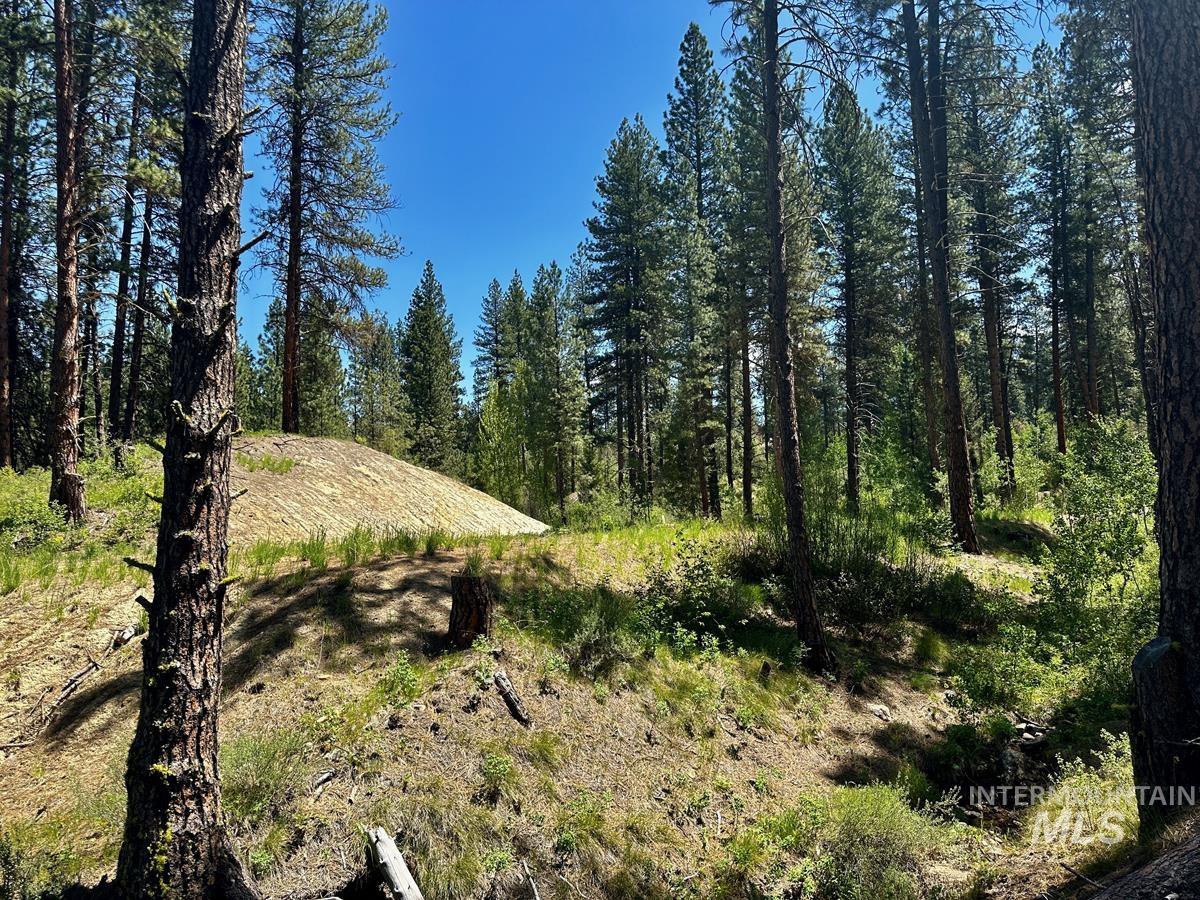 L16 B1 Shaw Gulch Road Property Photo 5