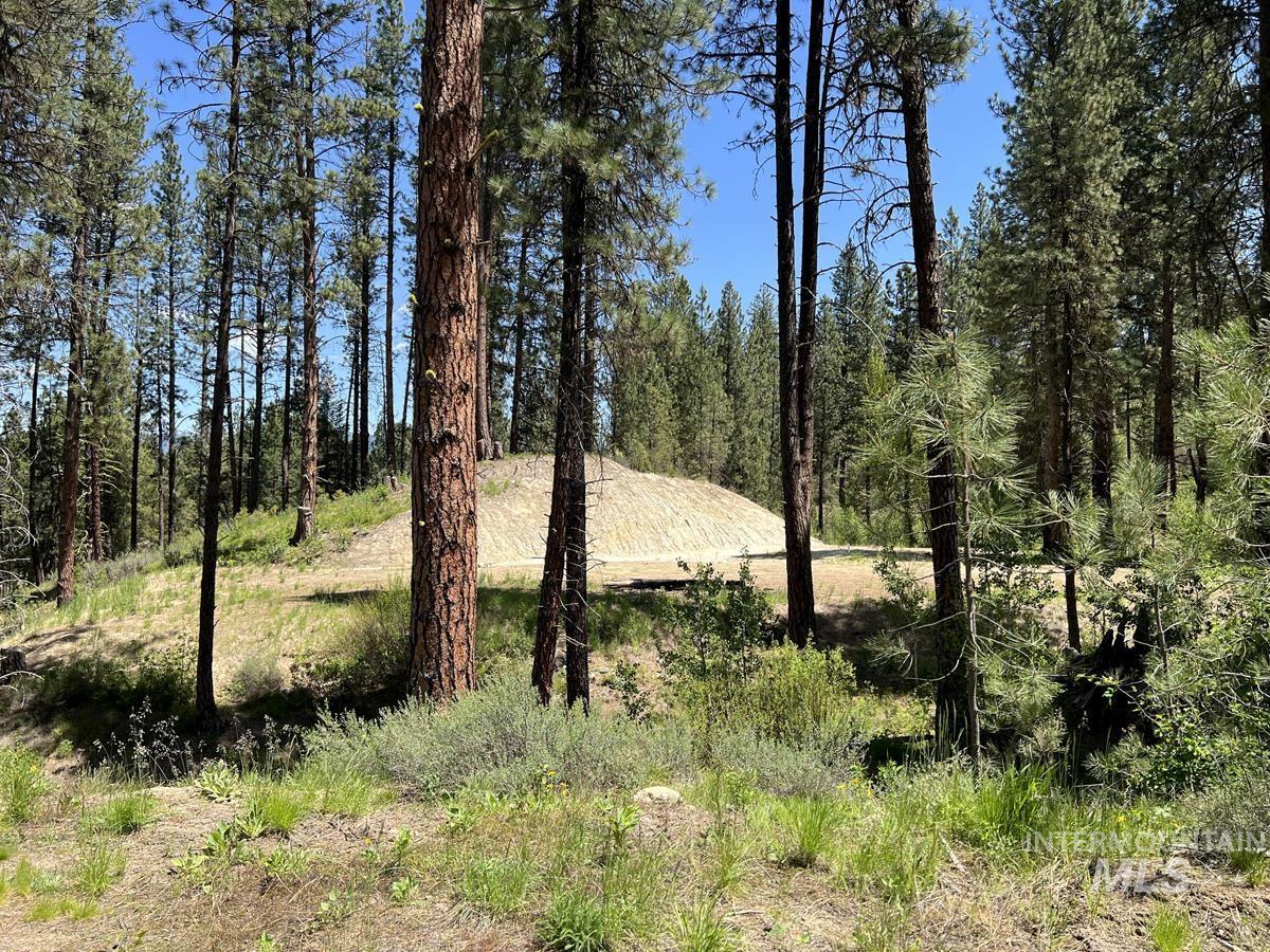 L16 B1 Shaw Gulch Road Property Photo 6