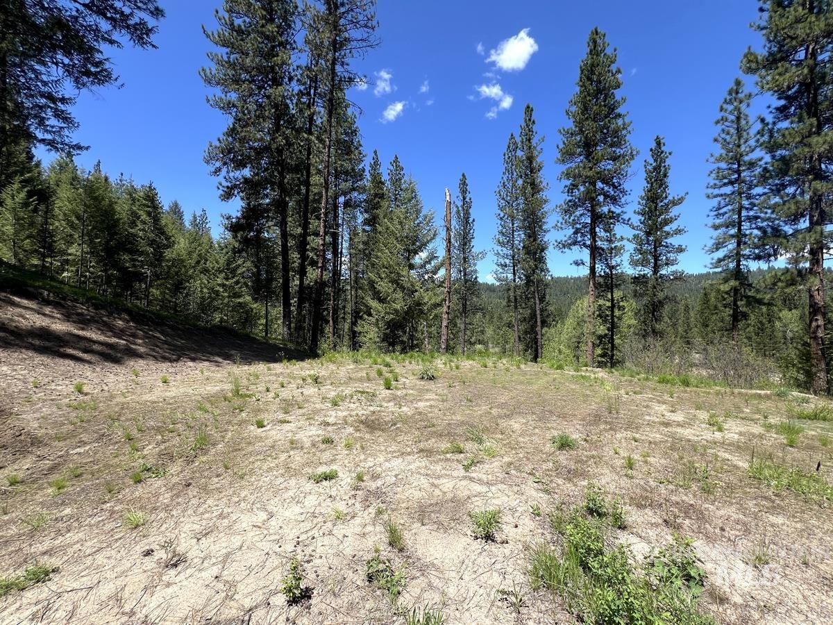 L16 B1 Shaw Gulch Road Property Photo 8