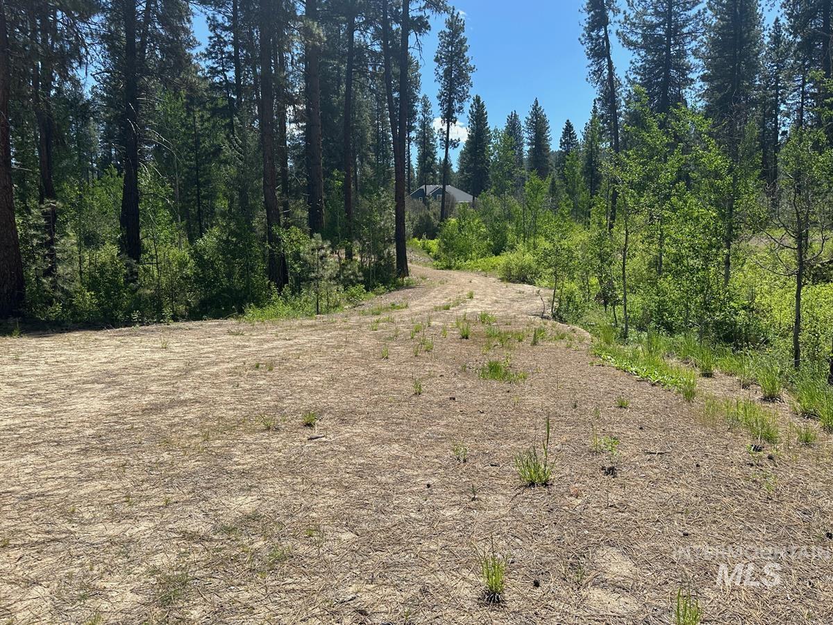 L16 B1 Shaw Gulch Road Property Photo 9