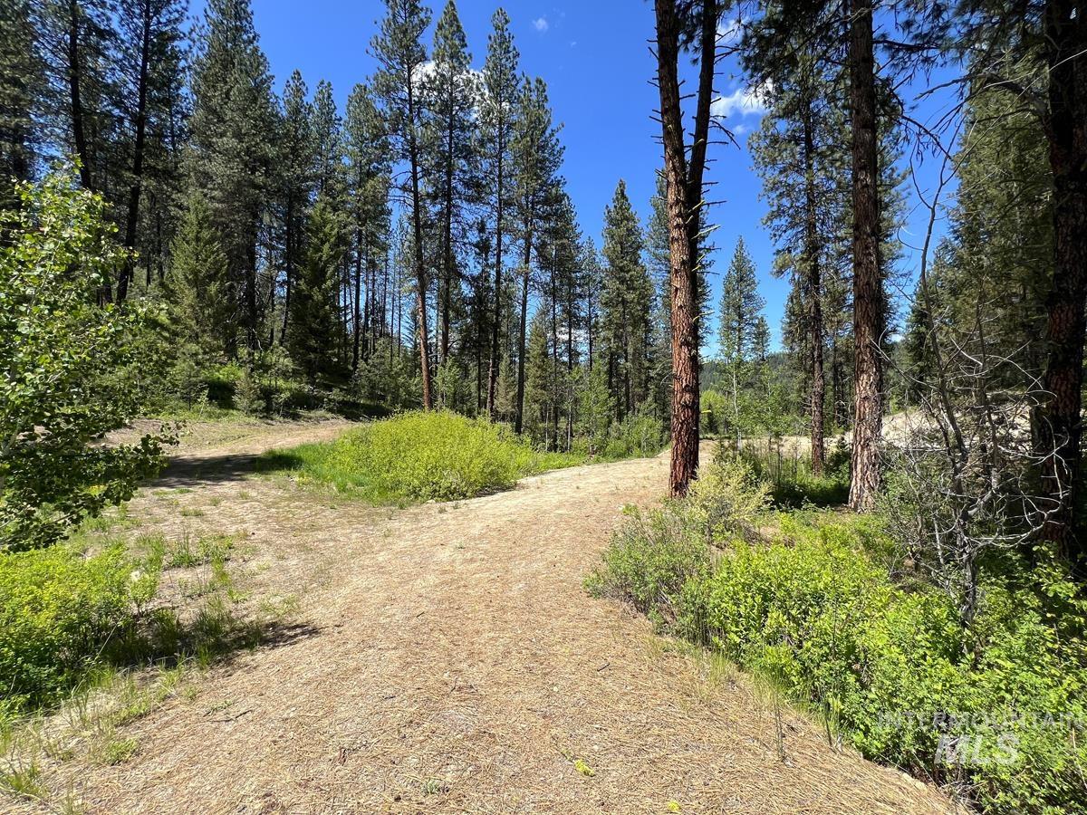 L16 B1 Shaw Gulch Road Property Photo 10