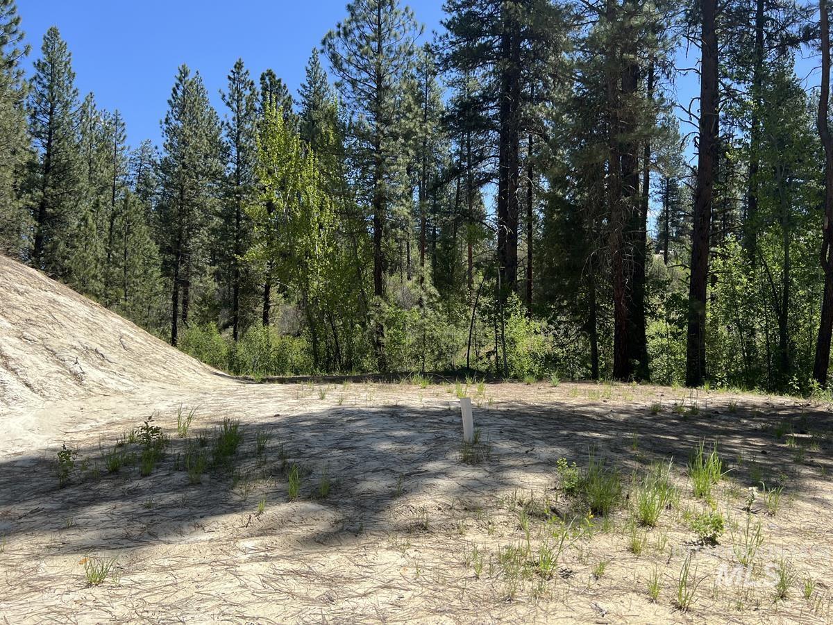 L16 B1 Shaw Gulch Road Property Photo 11