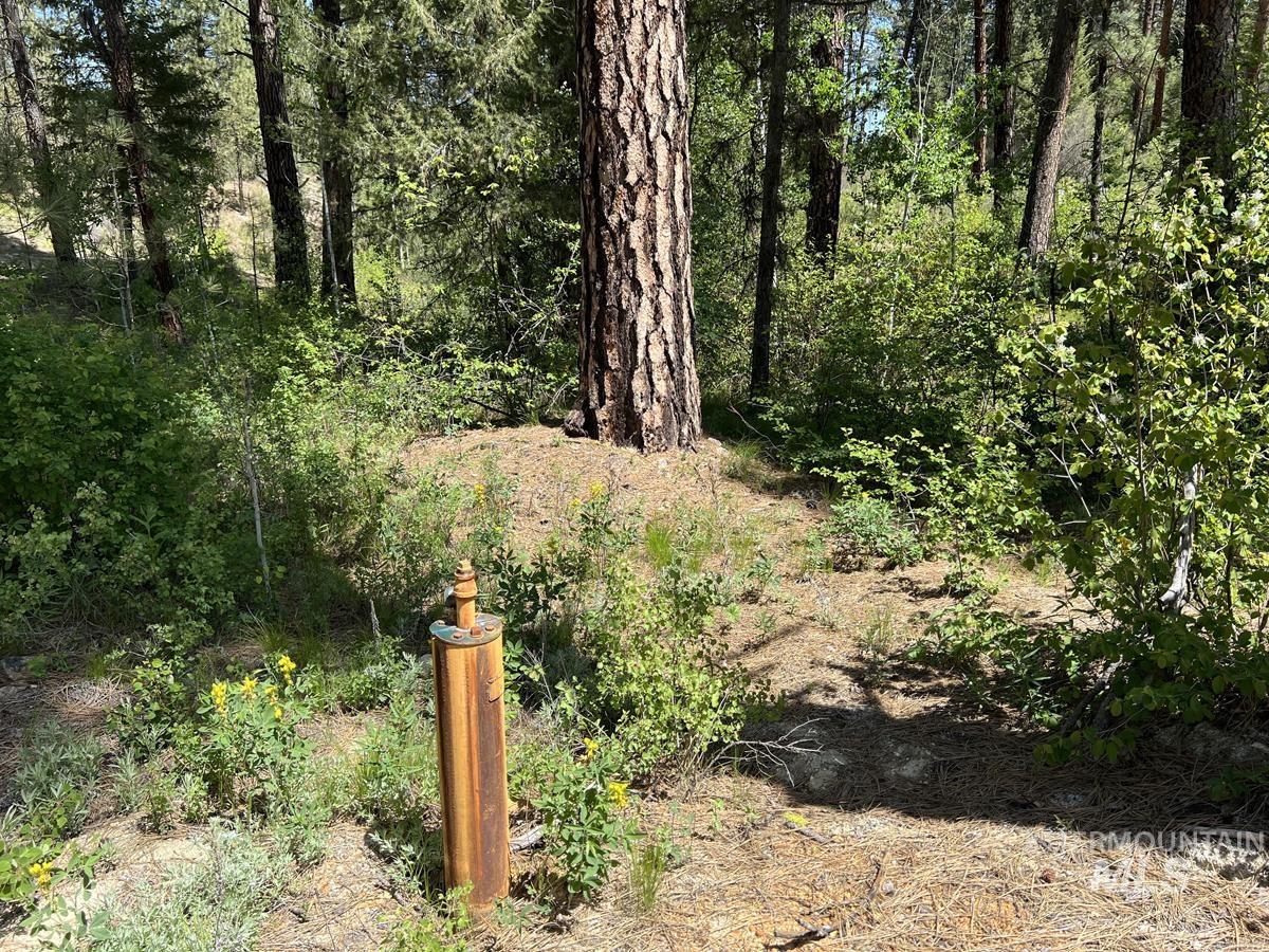 L16 B1 Shaw Gulch Road Property Photo 12