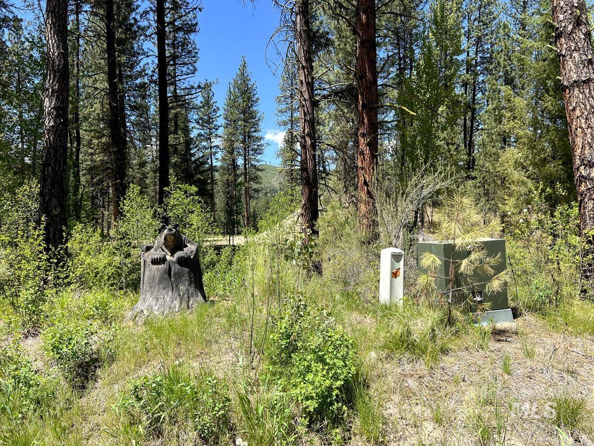 L16 B1 Shaw Gulch Road Property Photo 13