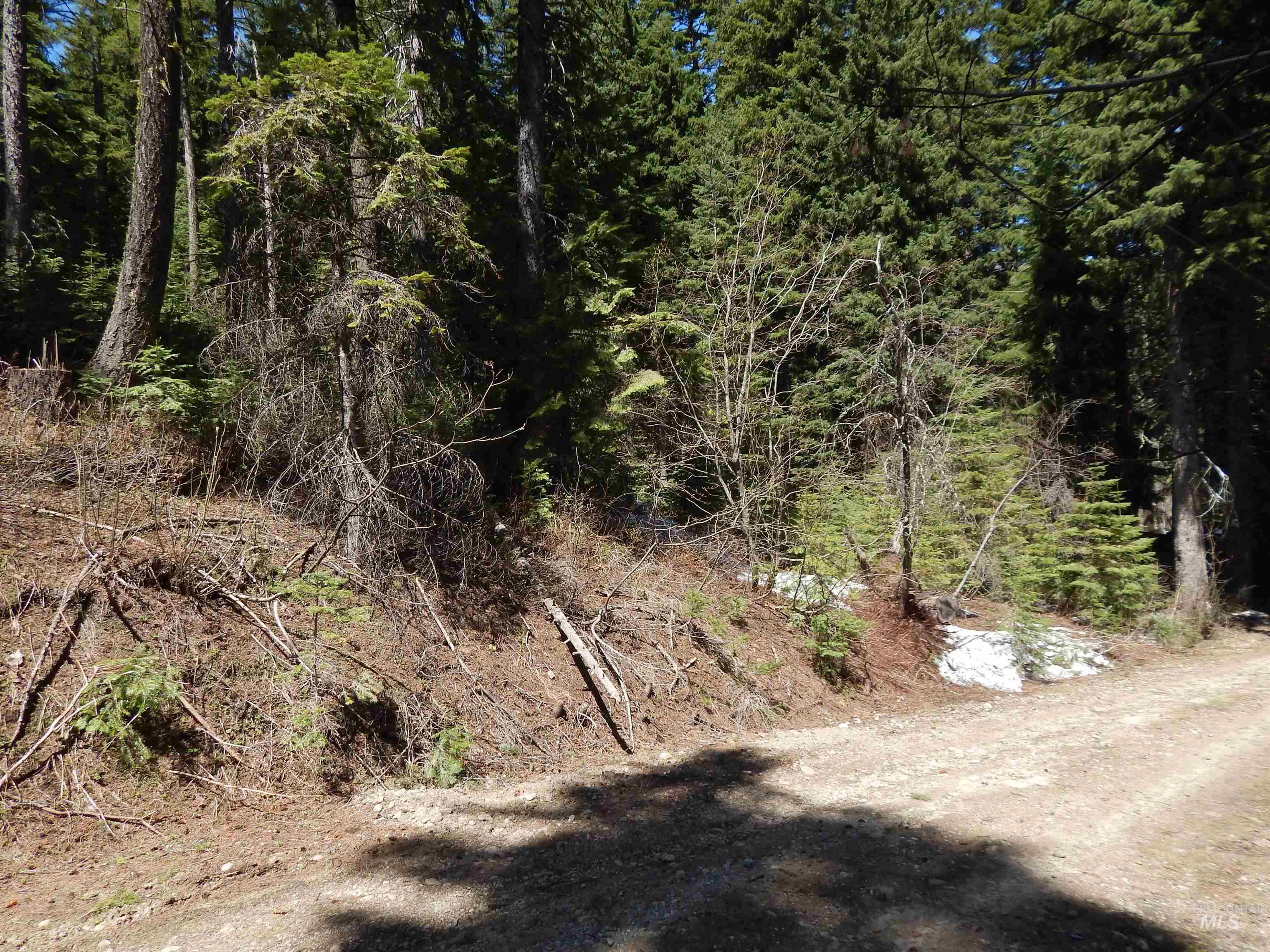1601 Bear Trail Loop Property Photo 1