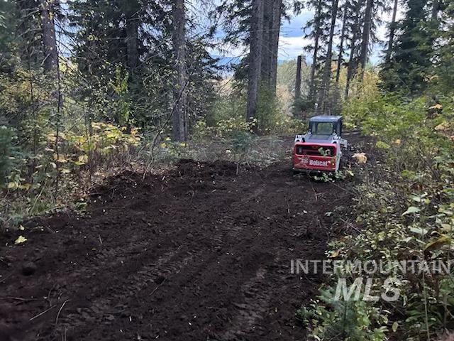 1601 Bear Trail Loop Property Photo 2