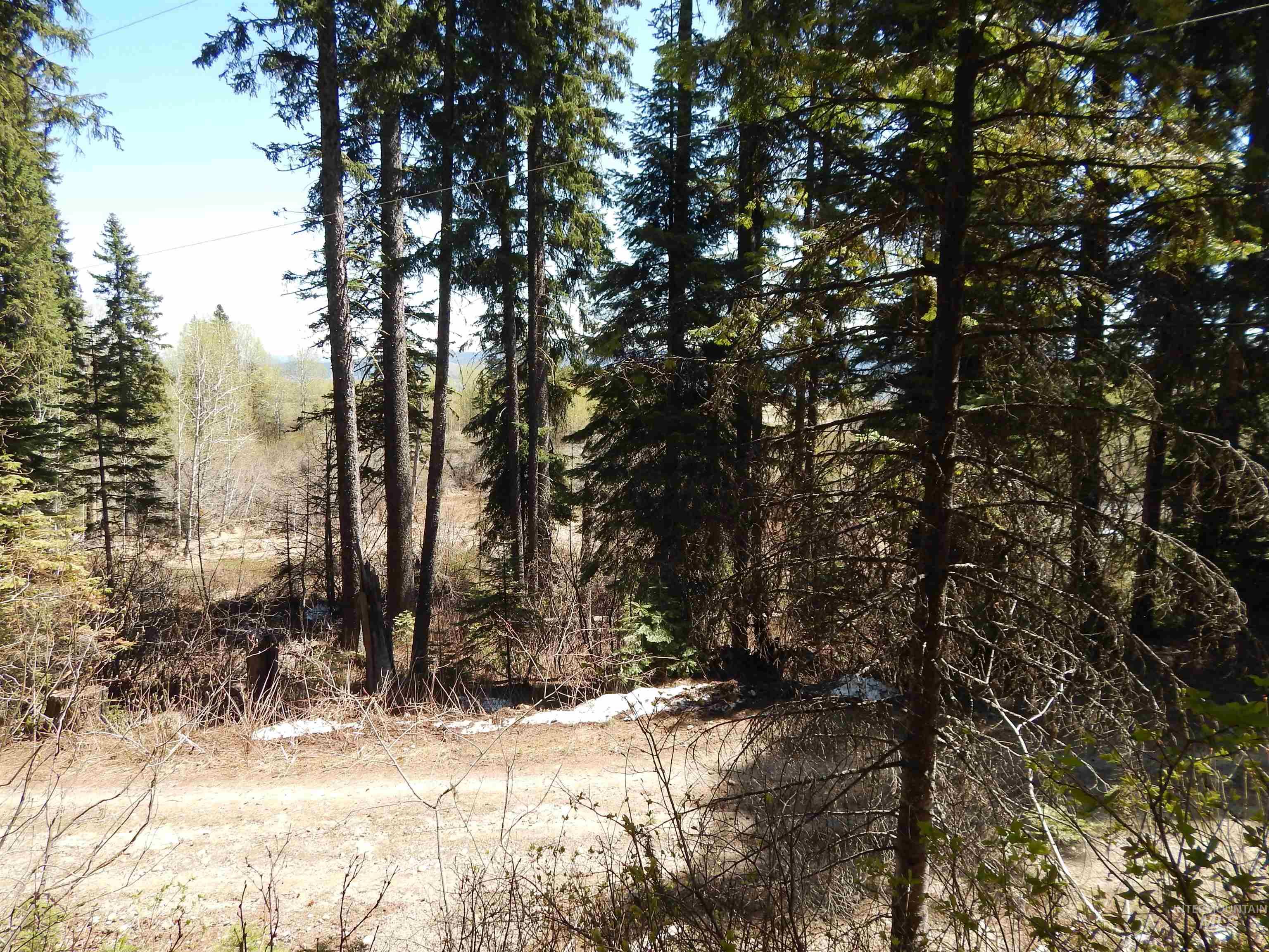 1601 Bear Trail Loop Property Photo 3
