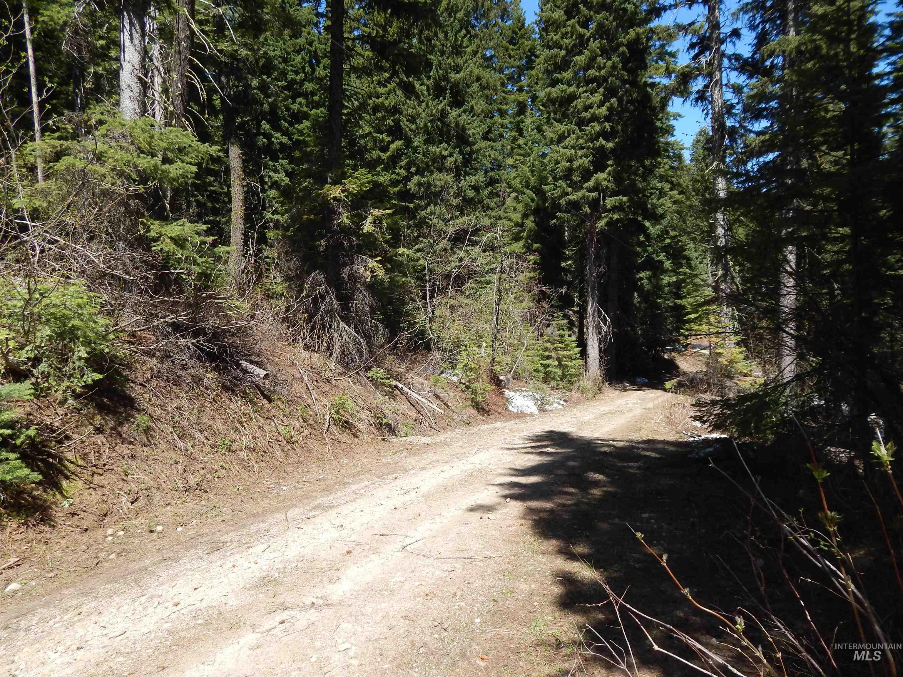 1601 Bear Trail Loop Property Photo 4