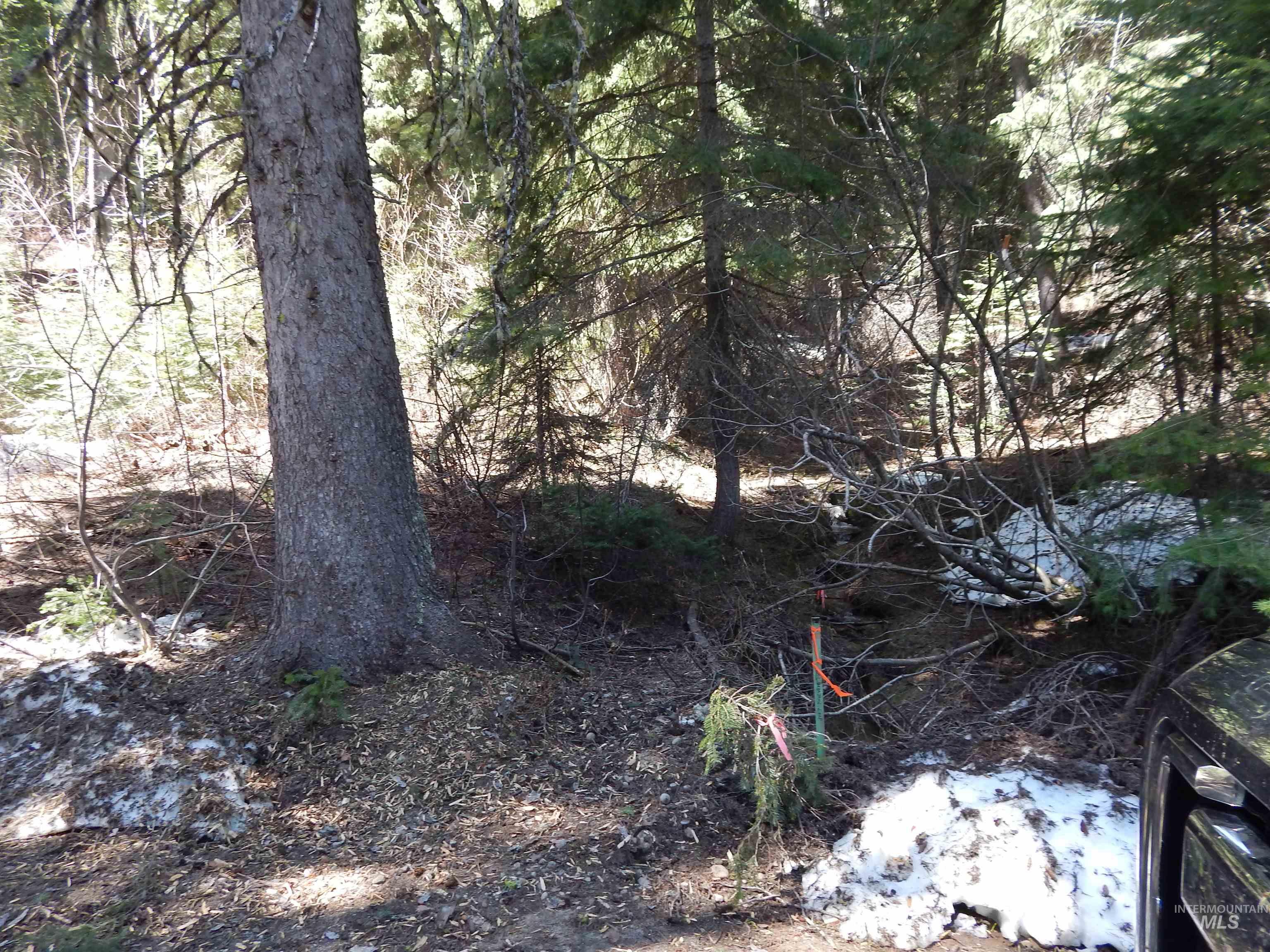 1601 Bear Trail Loop Property Photo 5