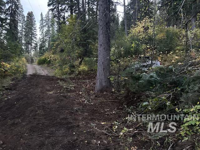 1601 Bear Trail Loop Property Photo 8