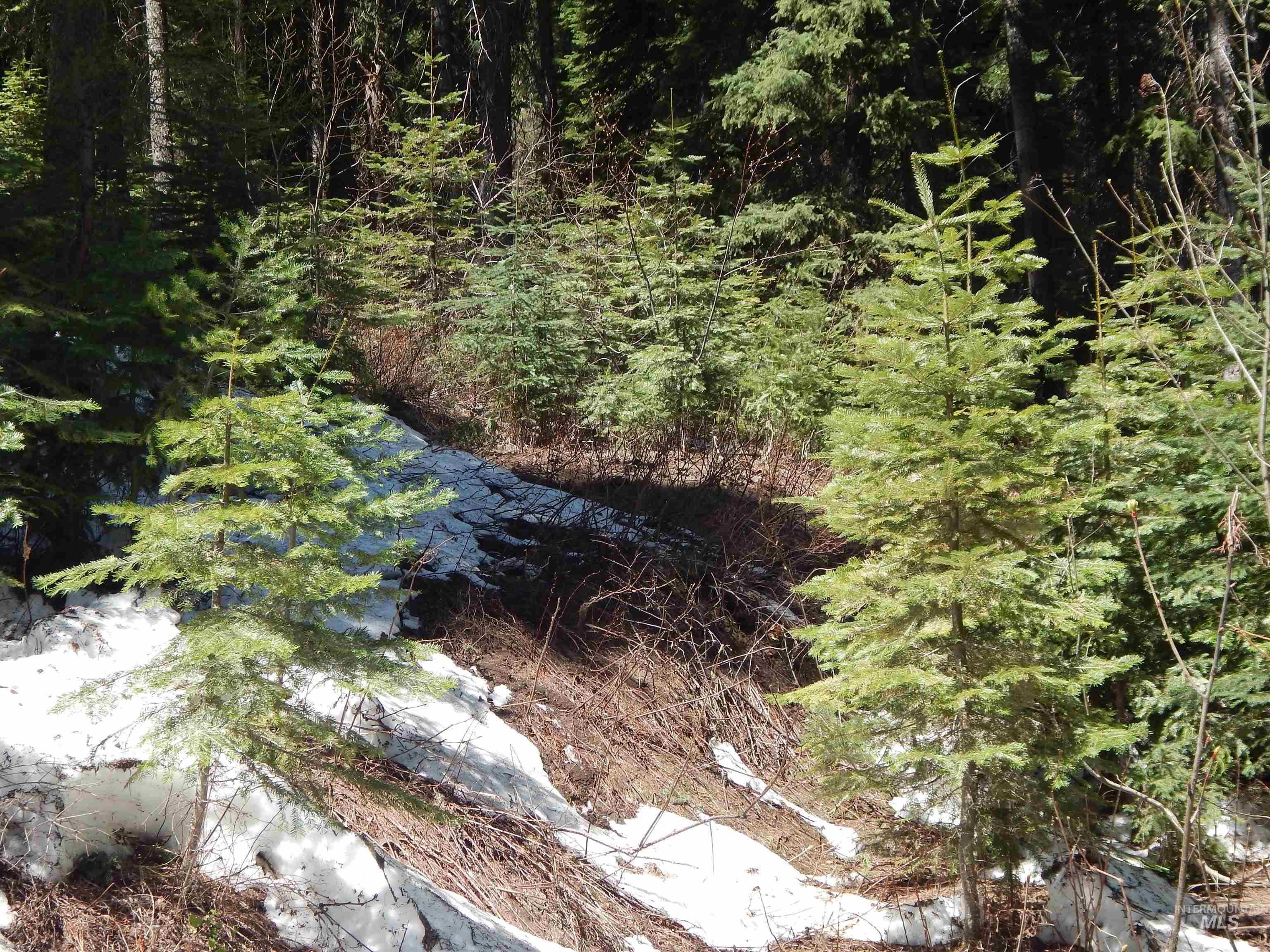 1601 Bear Trail Loop Property Photo 9