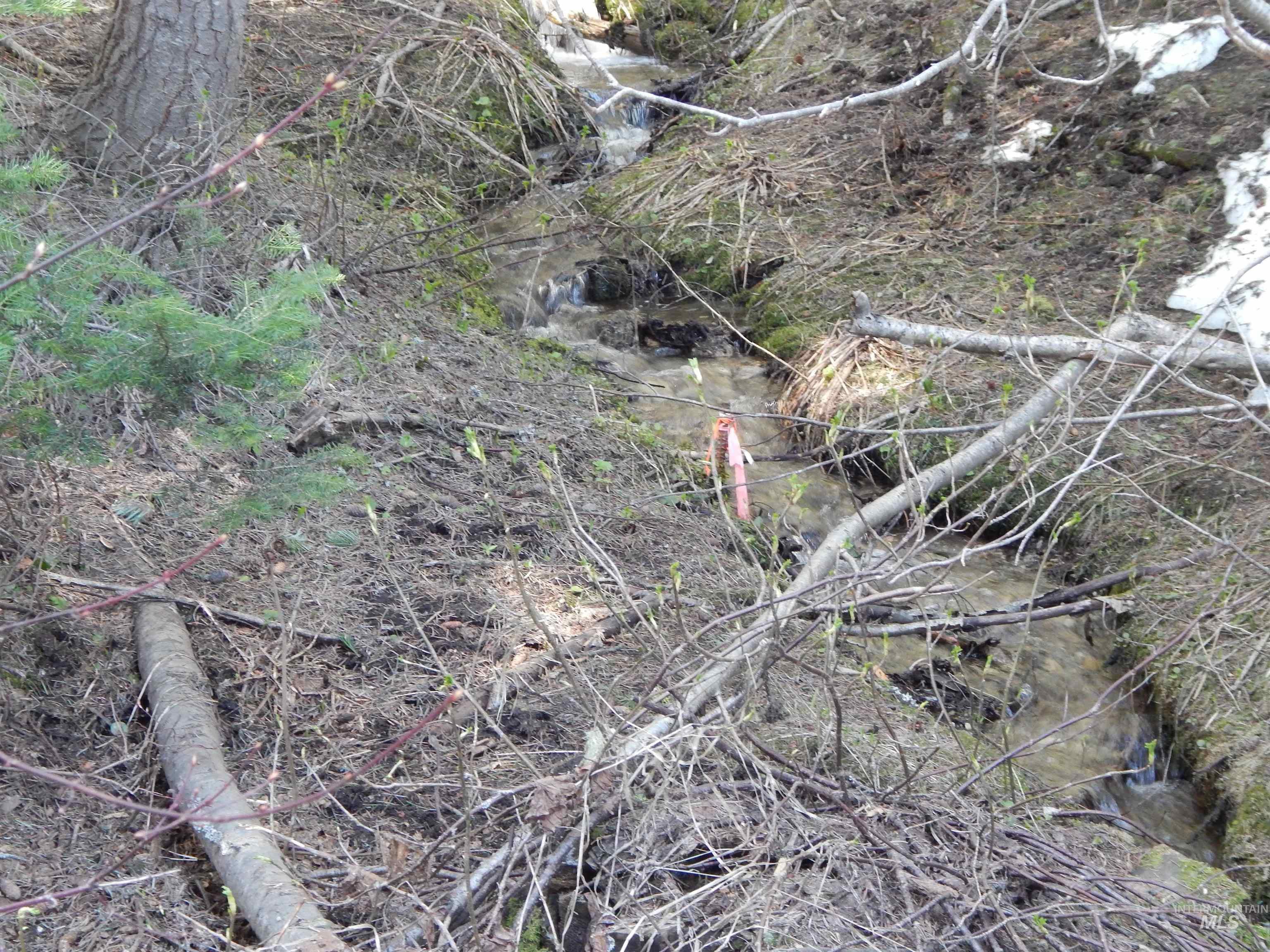 1601 Bear Trail Loop Property Photo 11