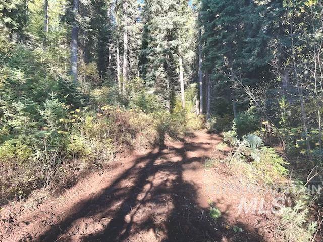 1601 Bear Trail Loop Property Photo 12