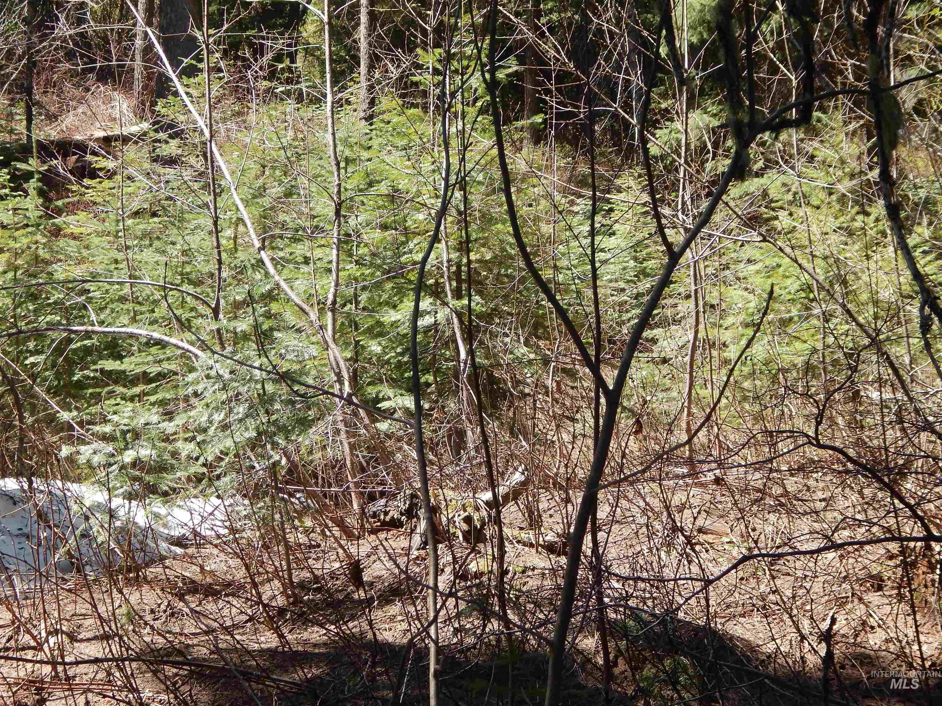 1601 Bear Trail Loop Property Photo 13