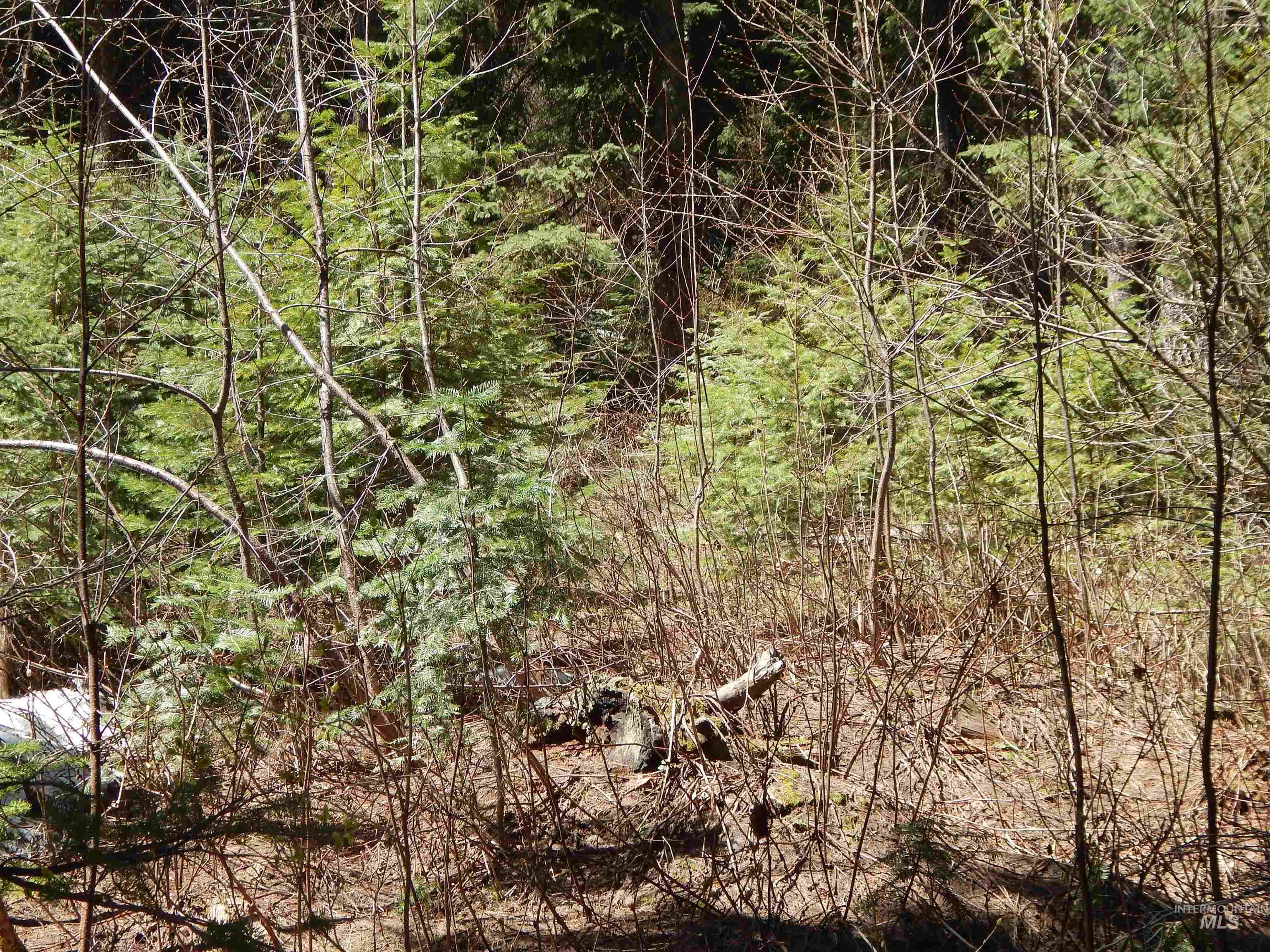 1601 Bear Trail Loop Property Photo 14