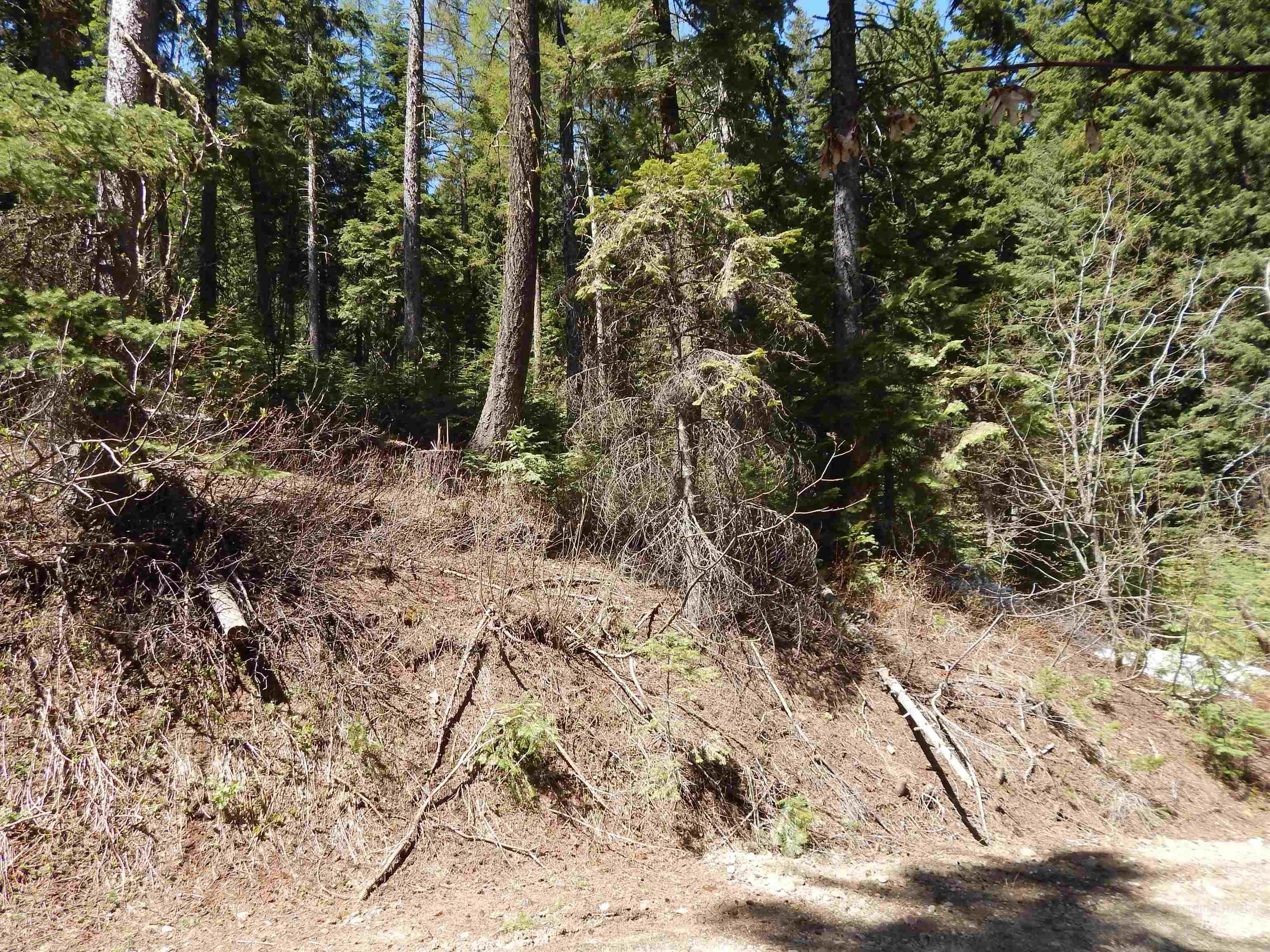 1601 Bear Trail Loop Property Photo 15