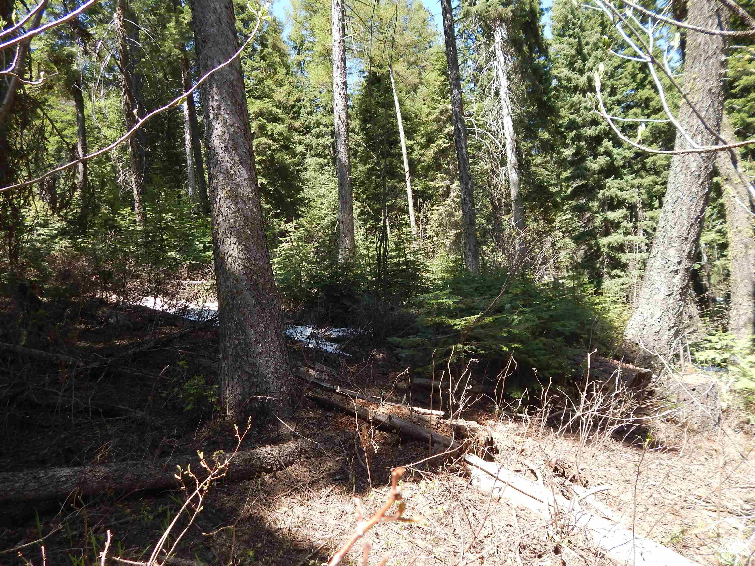 1601 Bear Trail Loop Property Photo 16