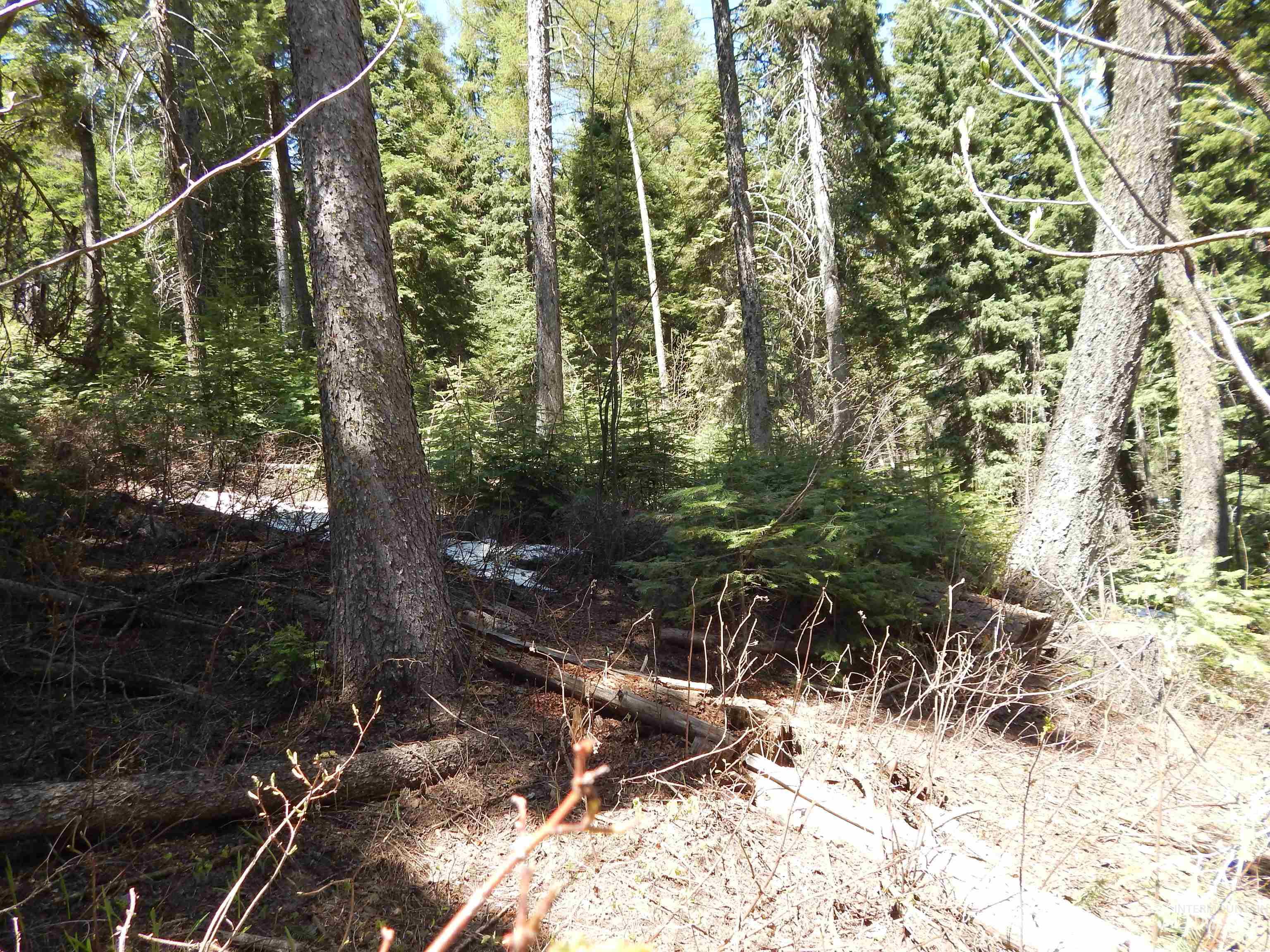 1601 Bear Trail Loop Property Photo 17
