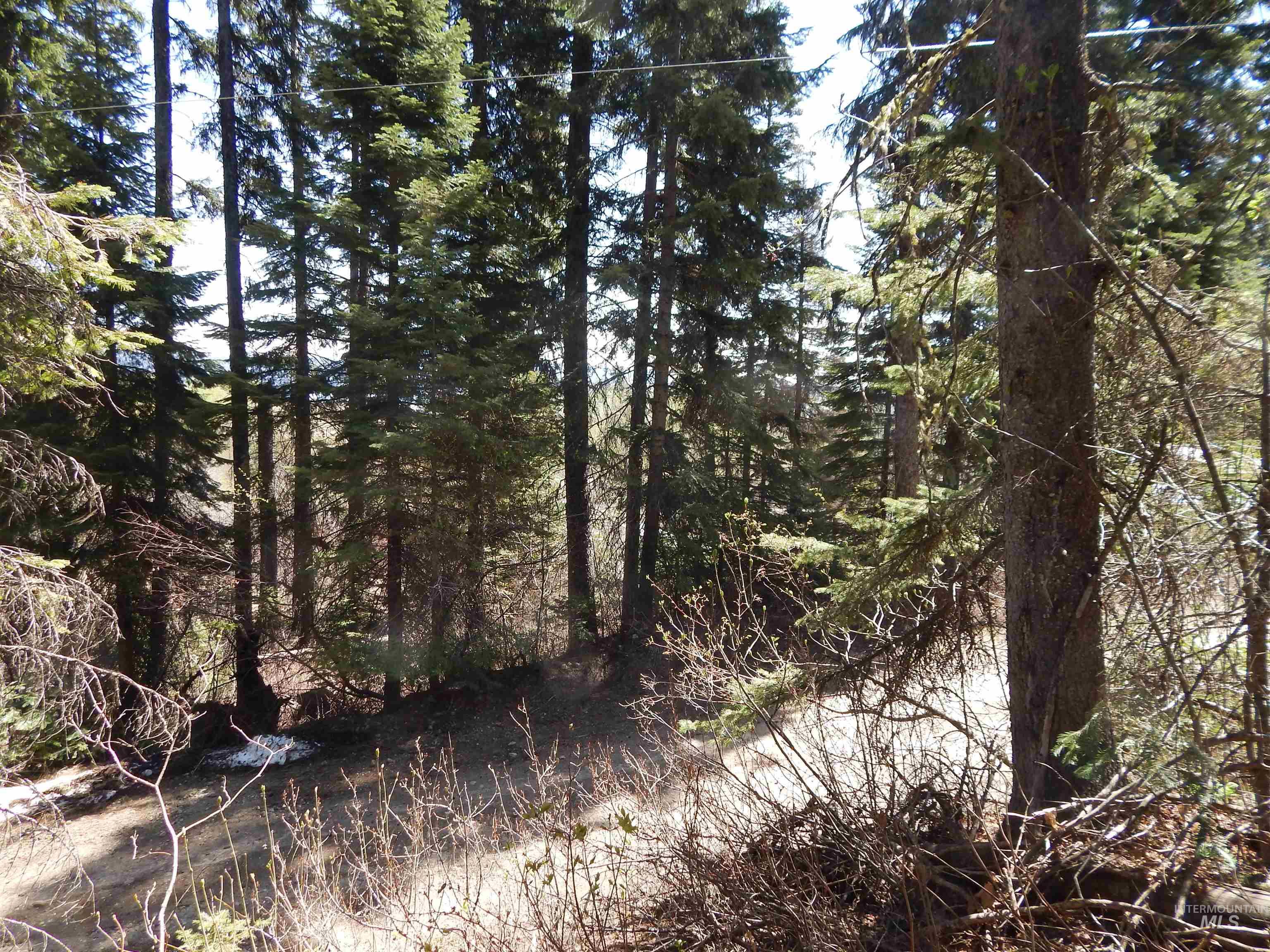 1601 Bear Trail Loop Property Photo 18