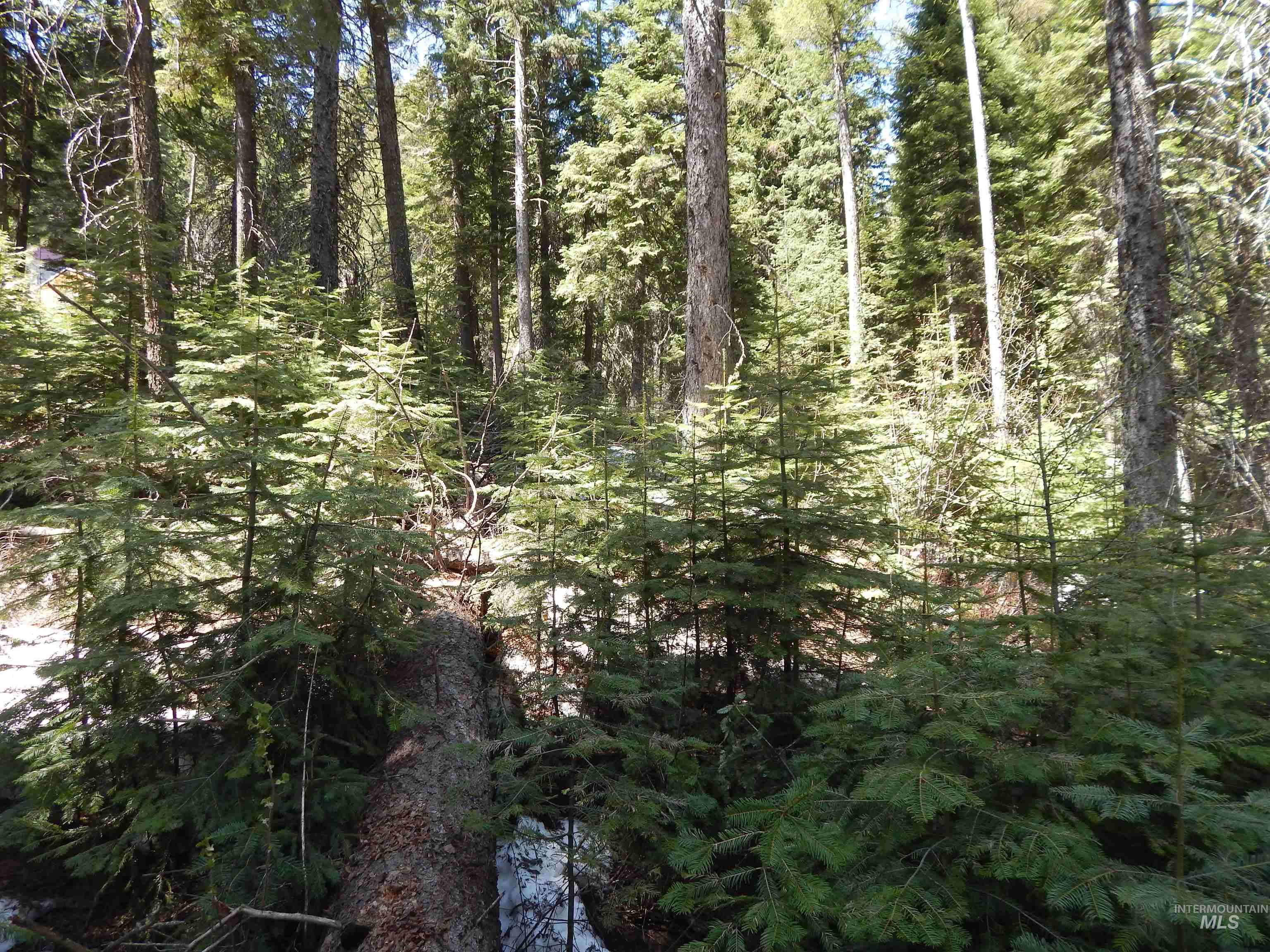 1601 Bear Trail Loop Property Photo 19